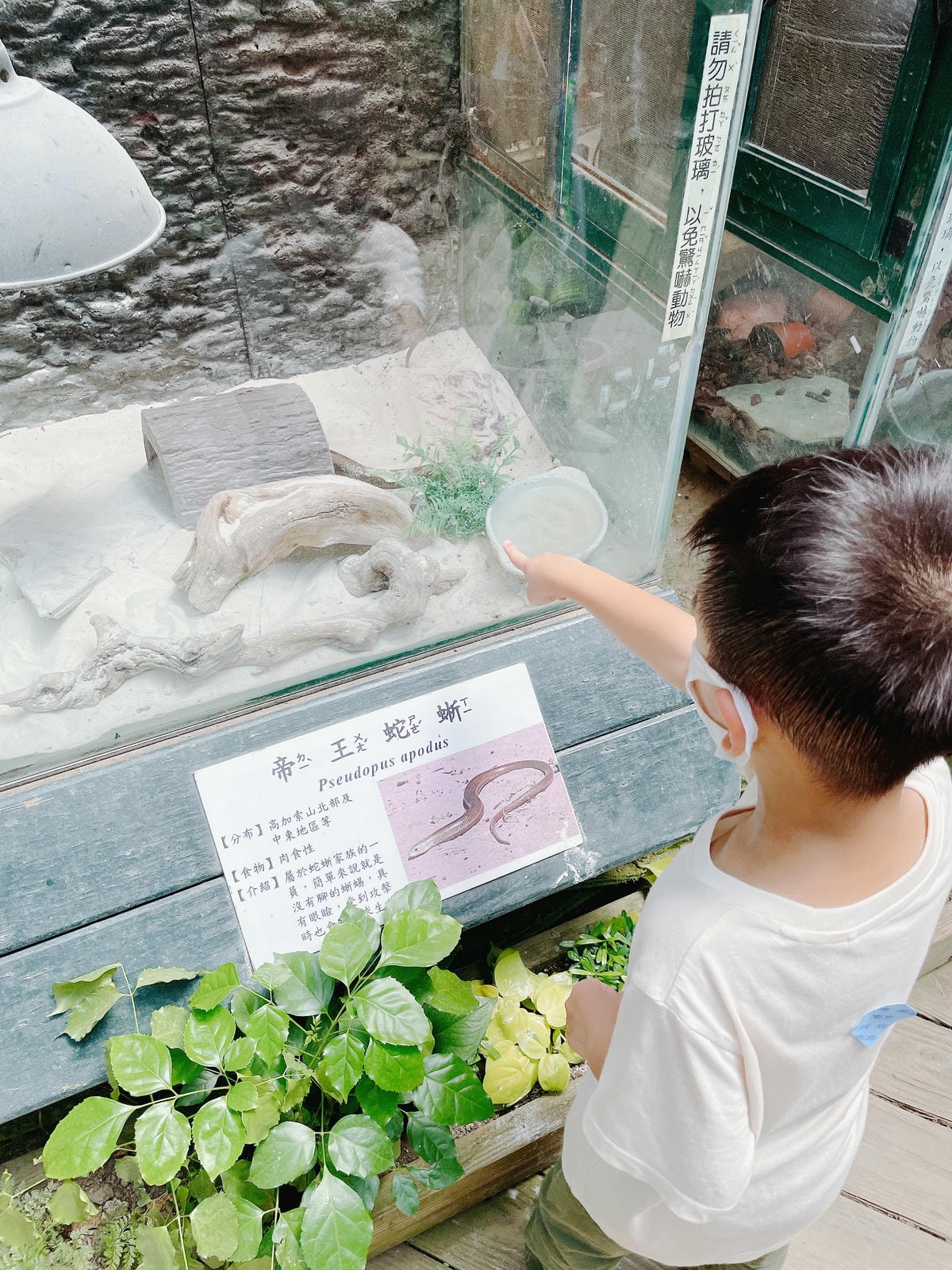 20250514-3kbz7