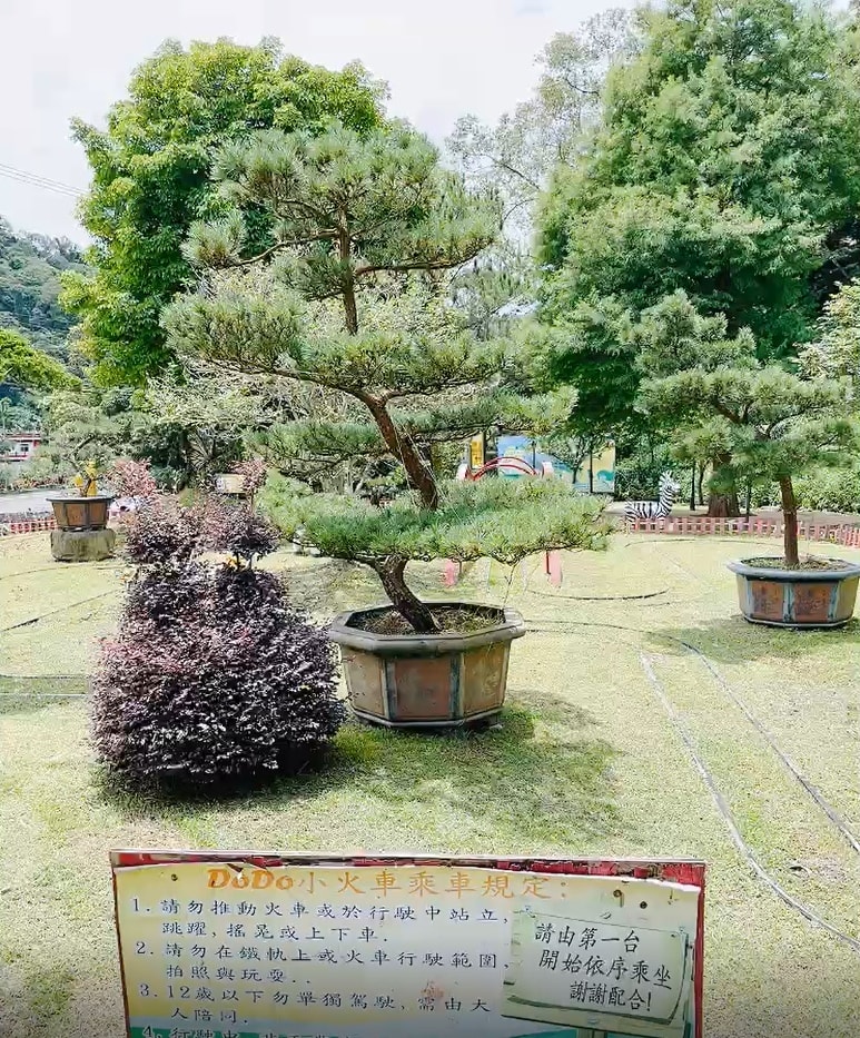 20250514-e18jw