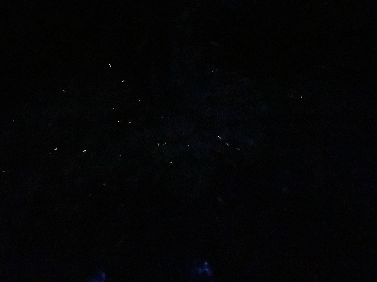 20250514-ci17b