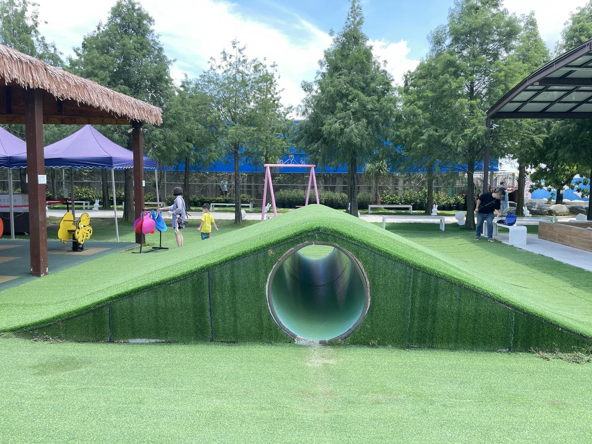 20250514-6dd5m