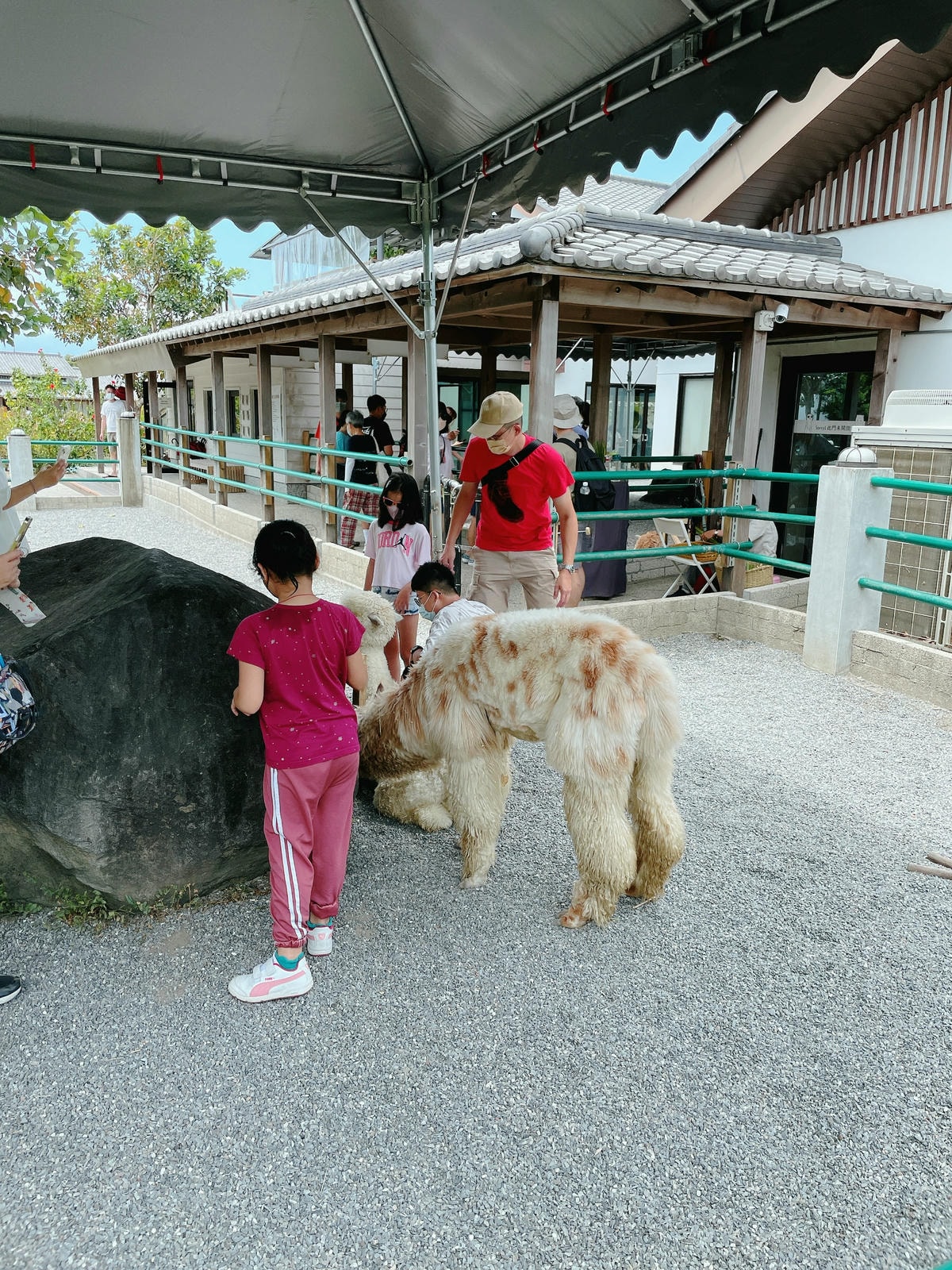 20250514-rjknk