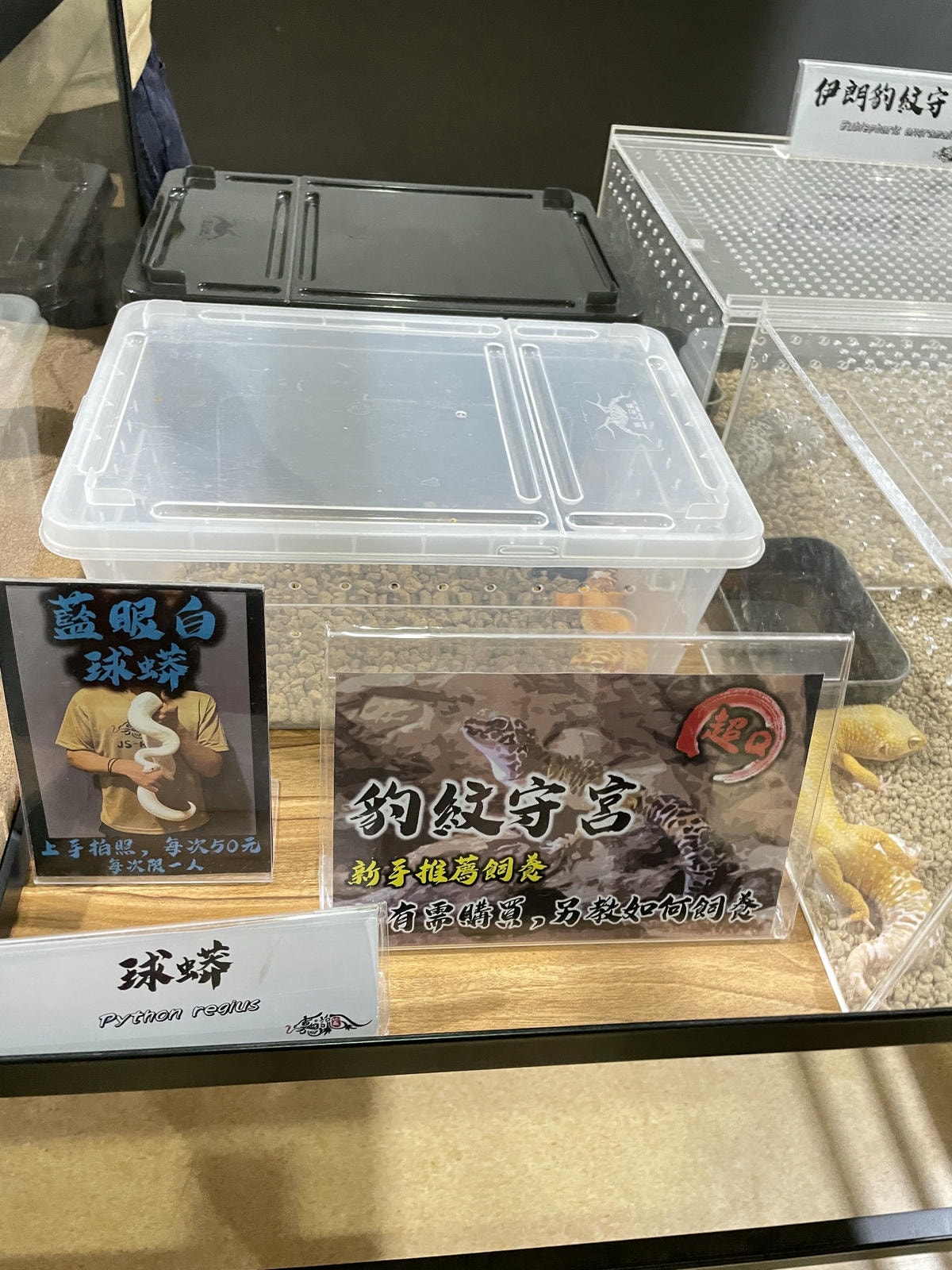 20250514-jgxbc