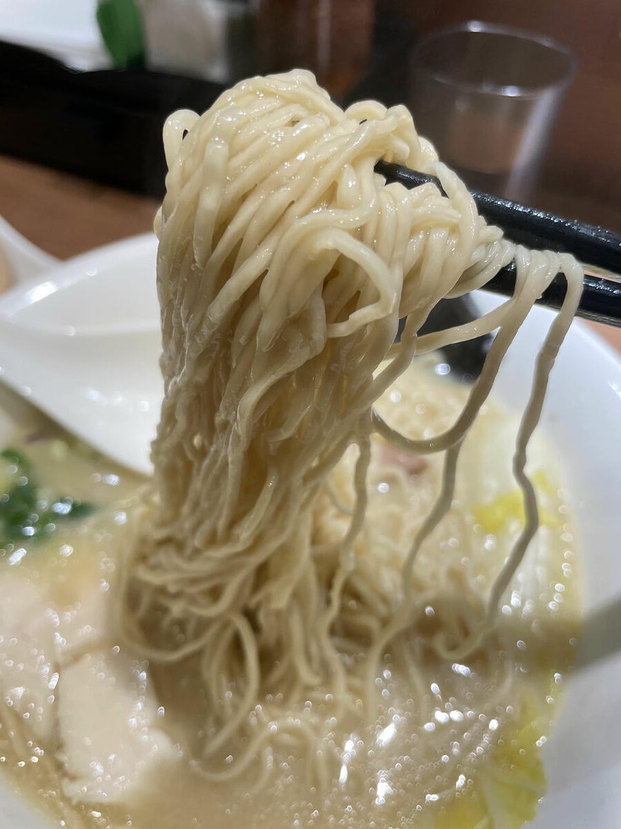 台北文山拉麵推薦｜長生塩人 辛亥店 每日熬煮八小時湯頭！靠近捷運辛亥站的人氣排隊拉麵 2026年更新版