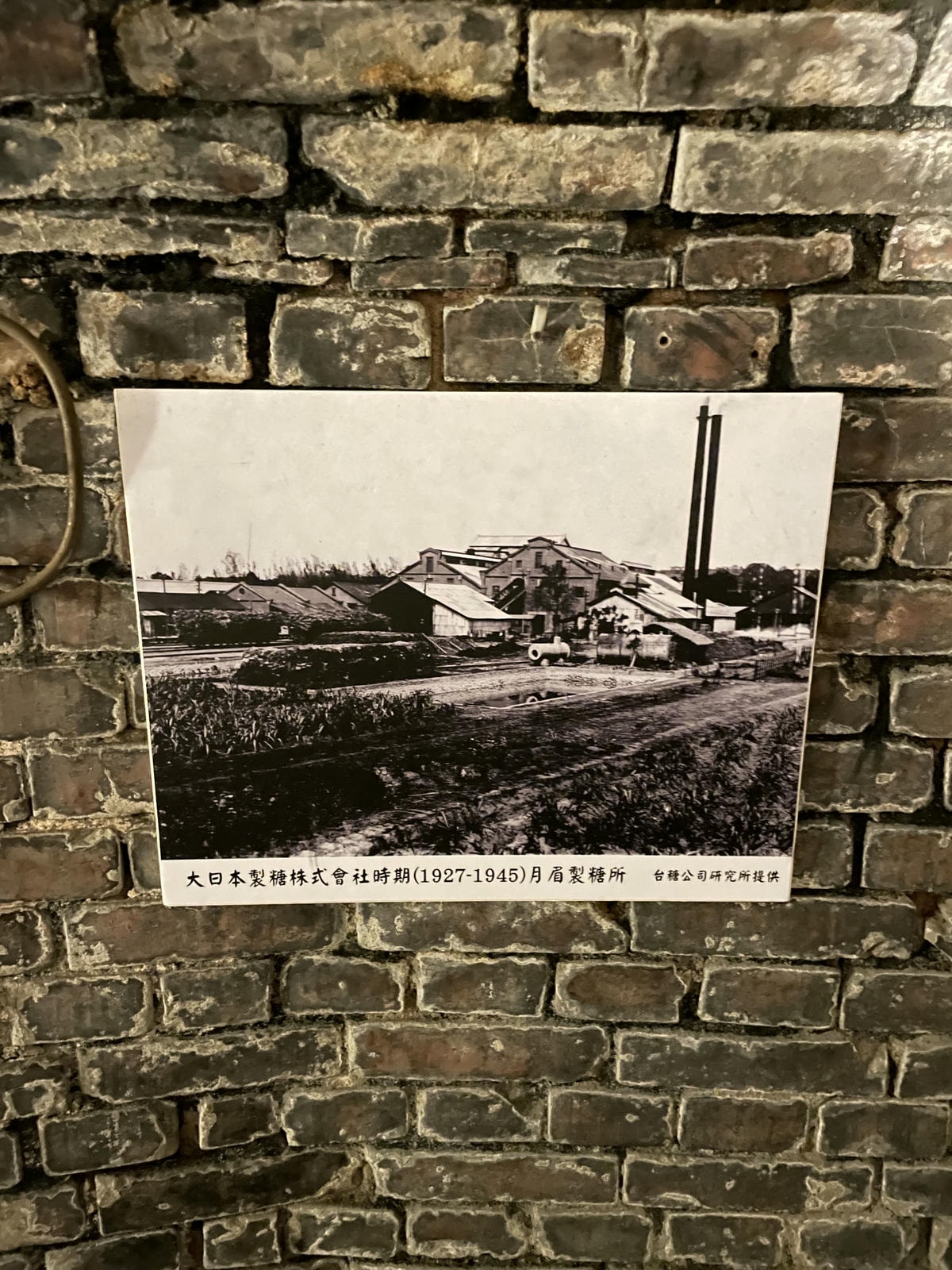 20250514-684vh