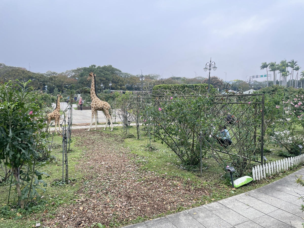 20250514-agzoe
