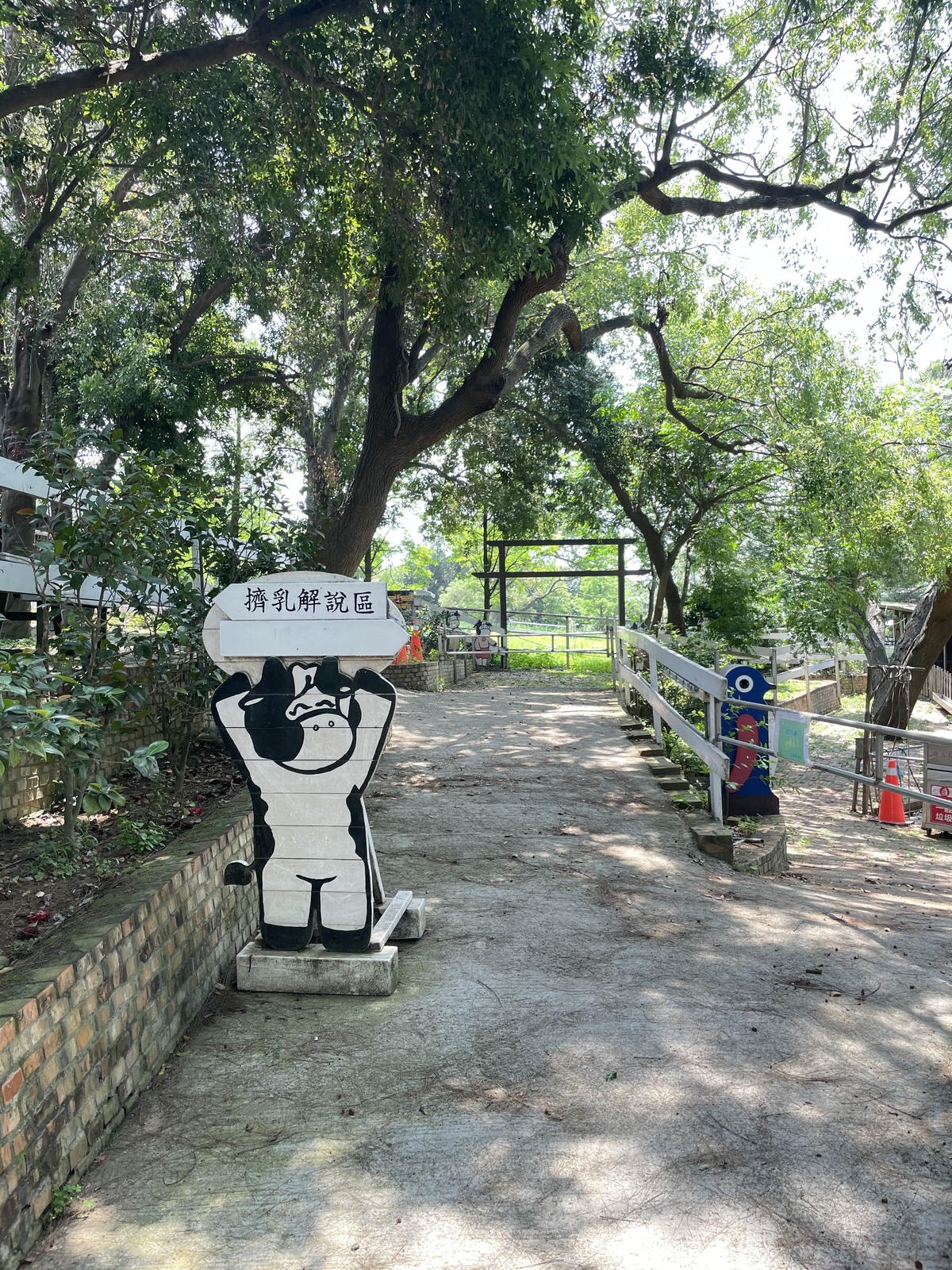 20250514-lhl0f
