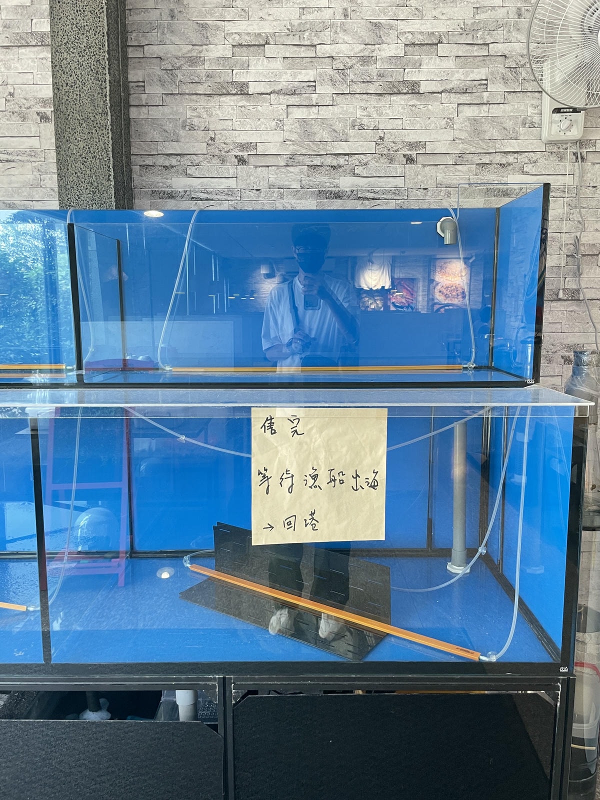 20250514-5u4sz