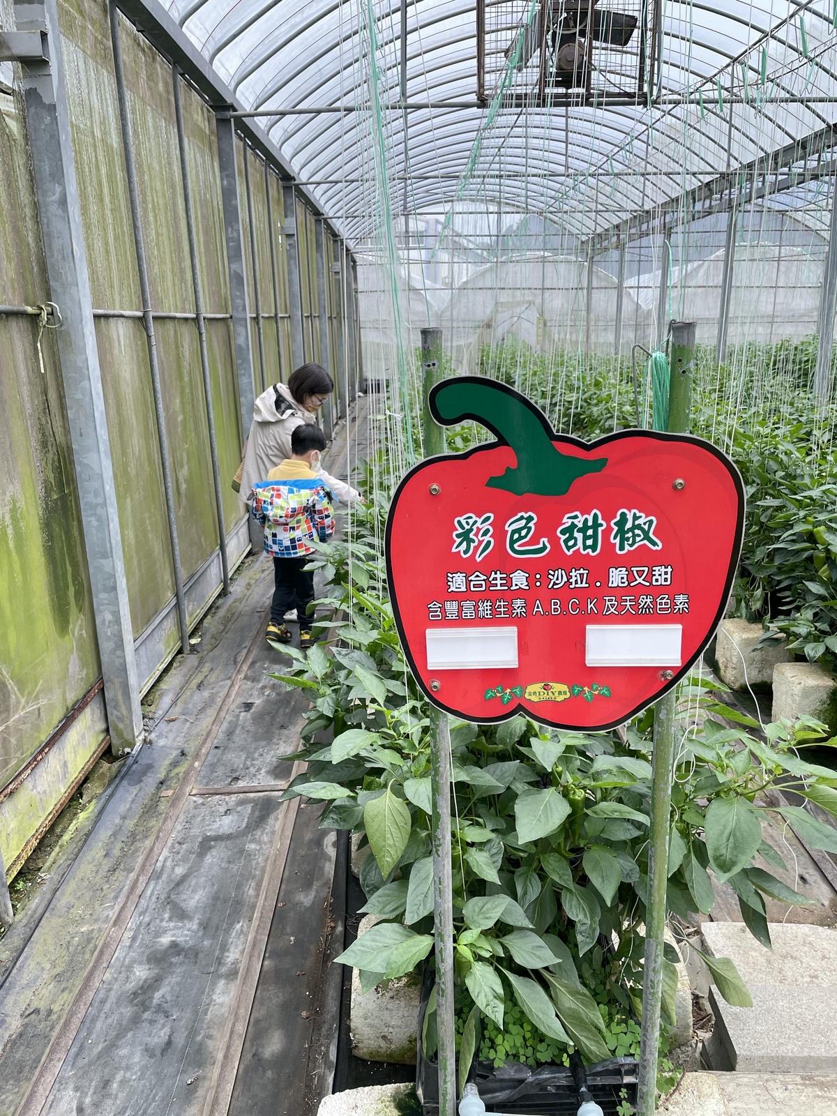20250514-g5nt3