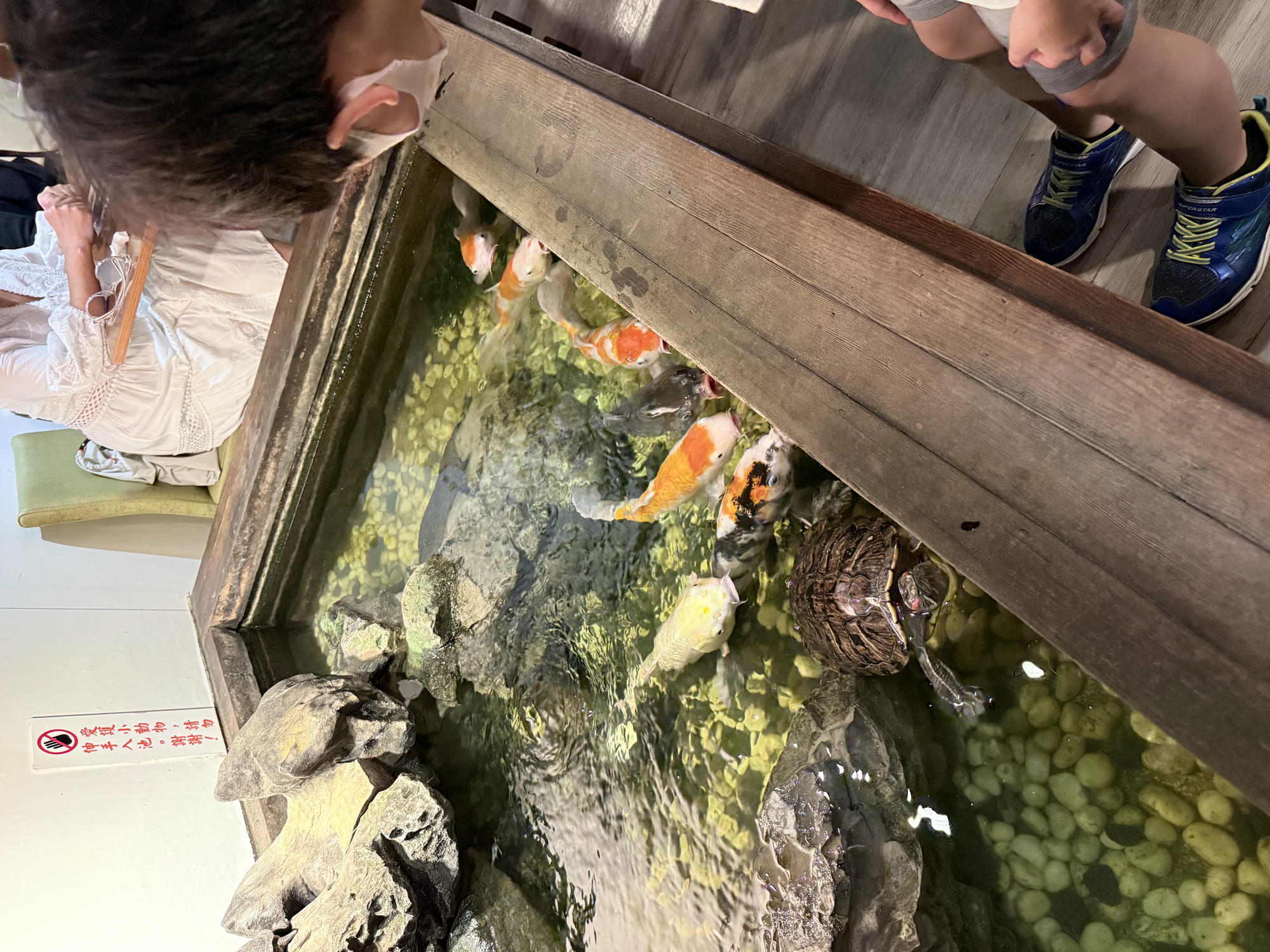 新北 新店 七張捷運站美食 優質簡餐、泡沫茶飲店 必點脆皮雞腿飯 |碧蘿春茶坊 北新店 - 第4張圖