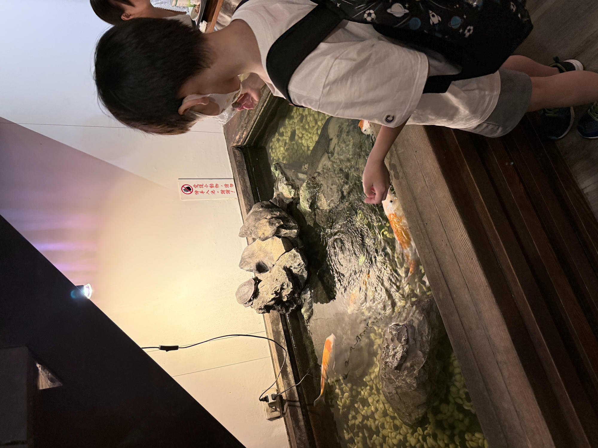 新北 新店 七張捷運站美食 優質簡餐、泡沫茶飲店 必點脆皮雞腿飯 |碧蘿春茶坊 北新店 - 第12張圖