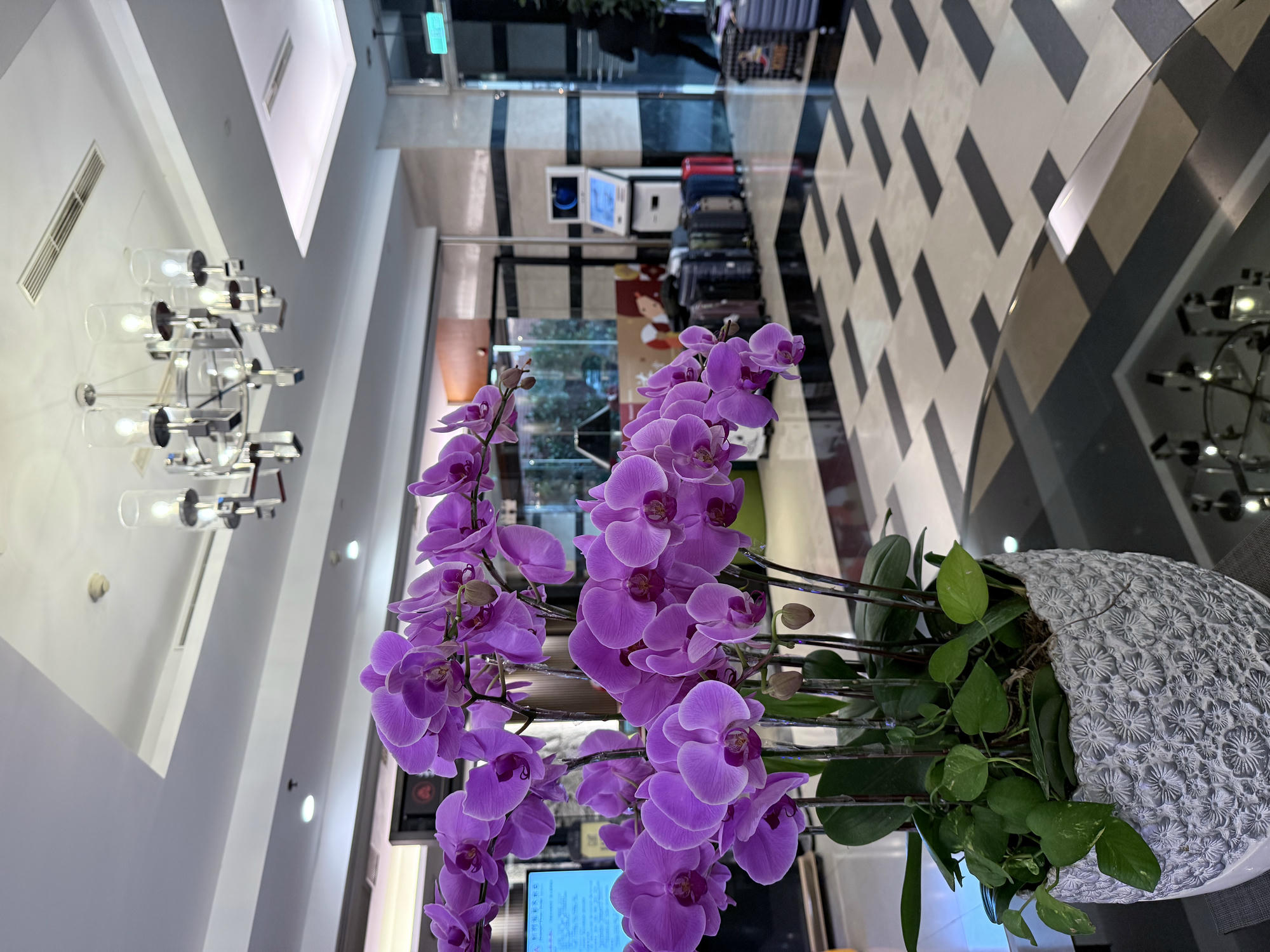 新竹 北區 優質親子飯店 新竹親子住宿推薦首選 改裝後的房型超級優 | 新竹福華大飯店 公寓式豪華單床房 開箱分享 - 第41張圖