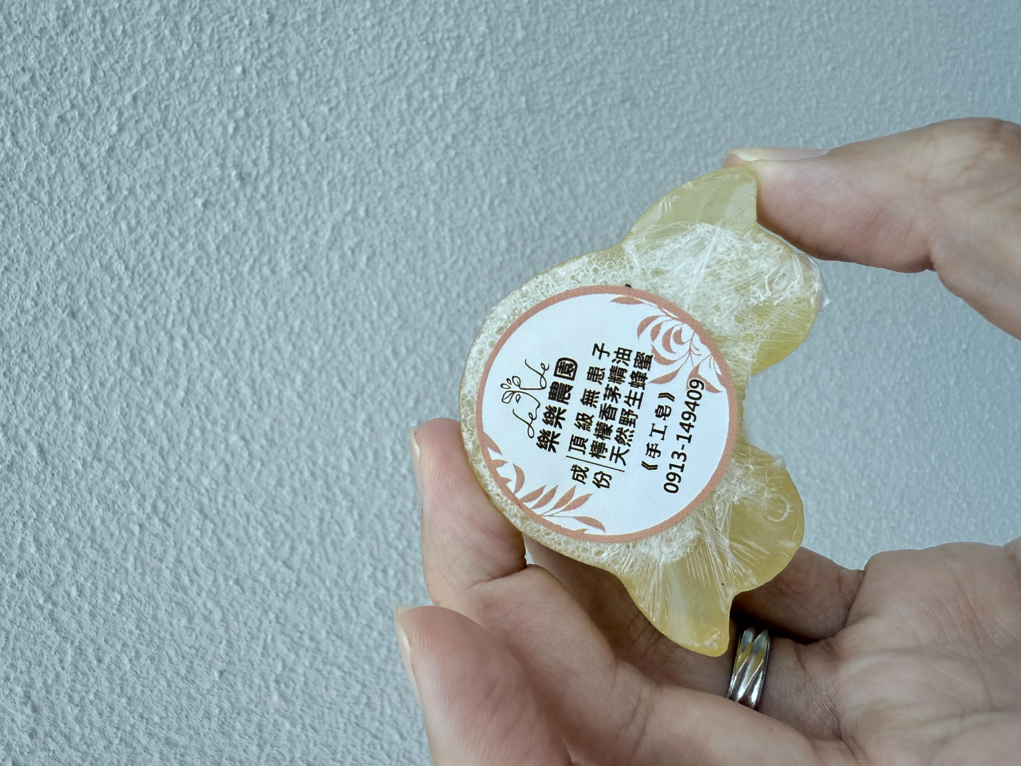 苗栗 苗栗市 很適合全家出遊的親子景點 可以預約櫓貓貓 搭乘小火車聽導覽哦!火車迷必來 |苗栗火車頭園區 - 第25張圖