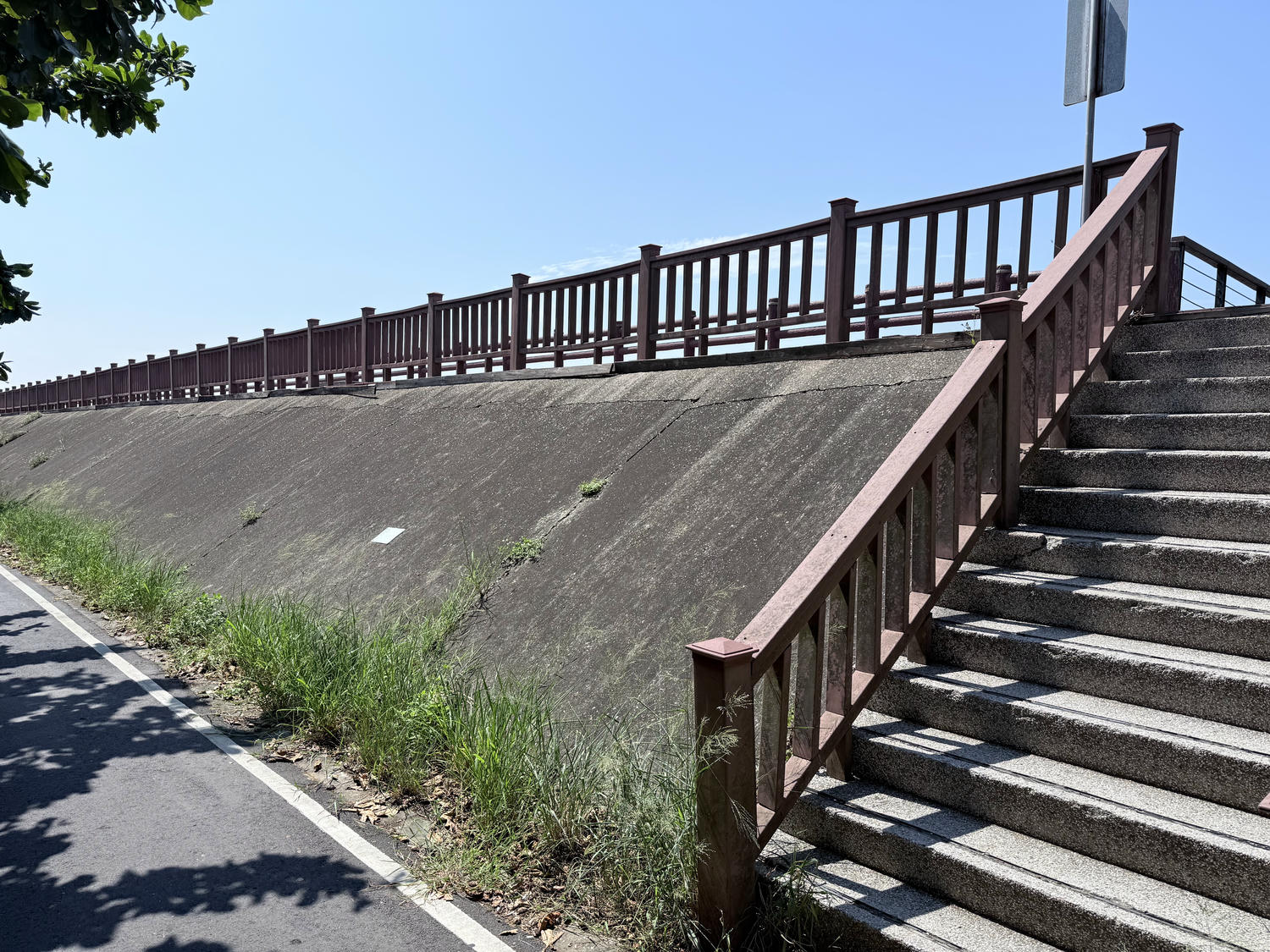 新竹 香山 近距離觀察濕地生態系 彈塗魚、(螃蟹)招潮蟹 |香山濕地賞蟹步道 - 第5張圖