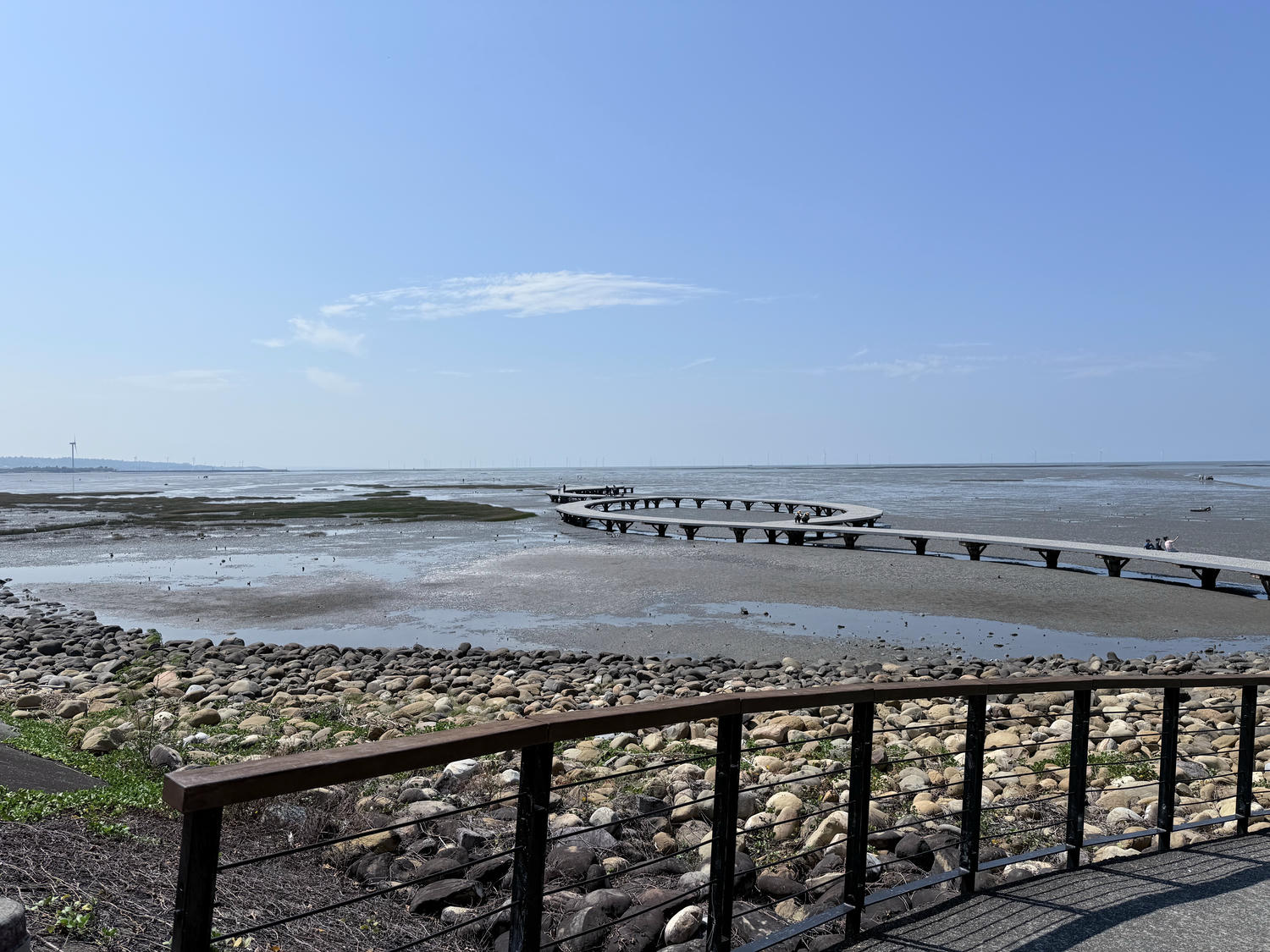 新竹 香山 近距離觀察濕地生態系 彈塗魚、(螃蟹)招潮蟹 |香山濕地賞蟹步道 - 第6張圖