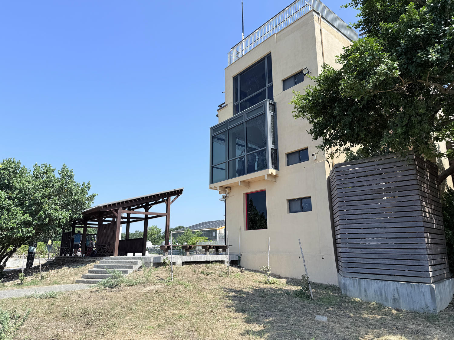 新竹 香山 近距離觀察濕地生態系 彈塗魚、(螃蟹)招潮蟹 |香山濕地賞蟹步道 - 第7張圖