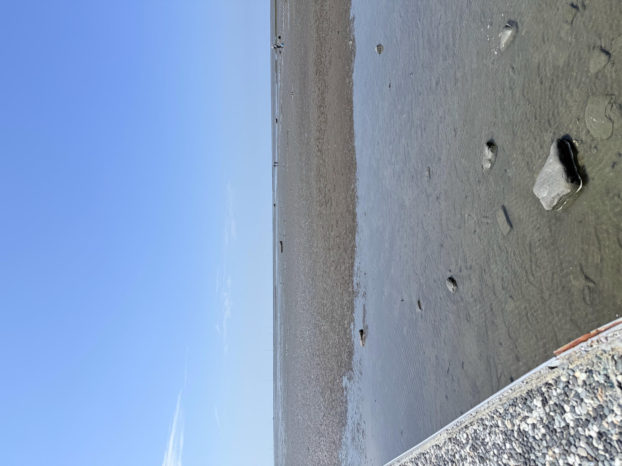 新竹 香山 近距離觀察濕地生態系 彈塗魚、(螃蟹)招潮蟹 |香山濕地賞蟹步道 - 第12張圖