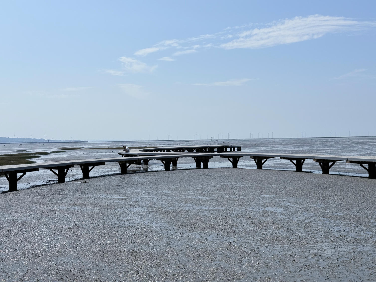 新竹 香山 近距離觀察濕地生態系 彈塗魚、(螃蟹)招潮蟹 |香山濕地賞蟹步道 - 第1張圖