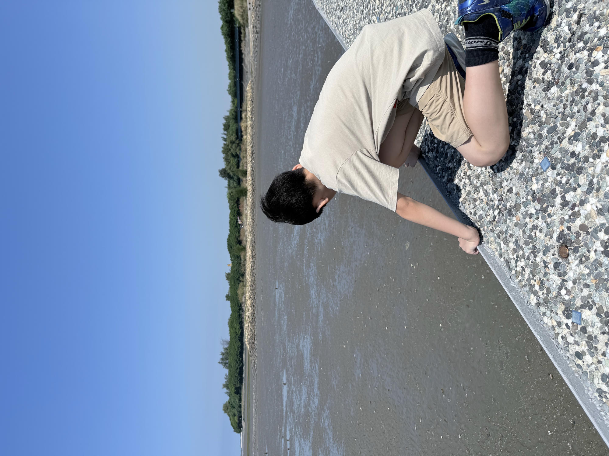 新竹 香山 近距離觀察濕地生態系 彈塗魚、(螃蟹)招潮蟹 |香山濕地賞蟹步道 - 第18張圖