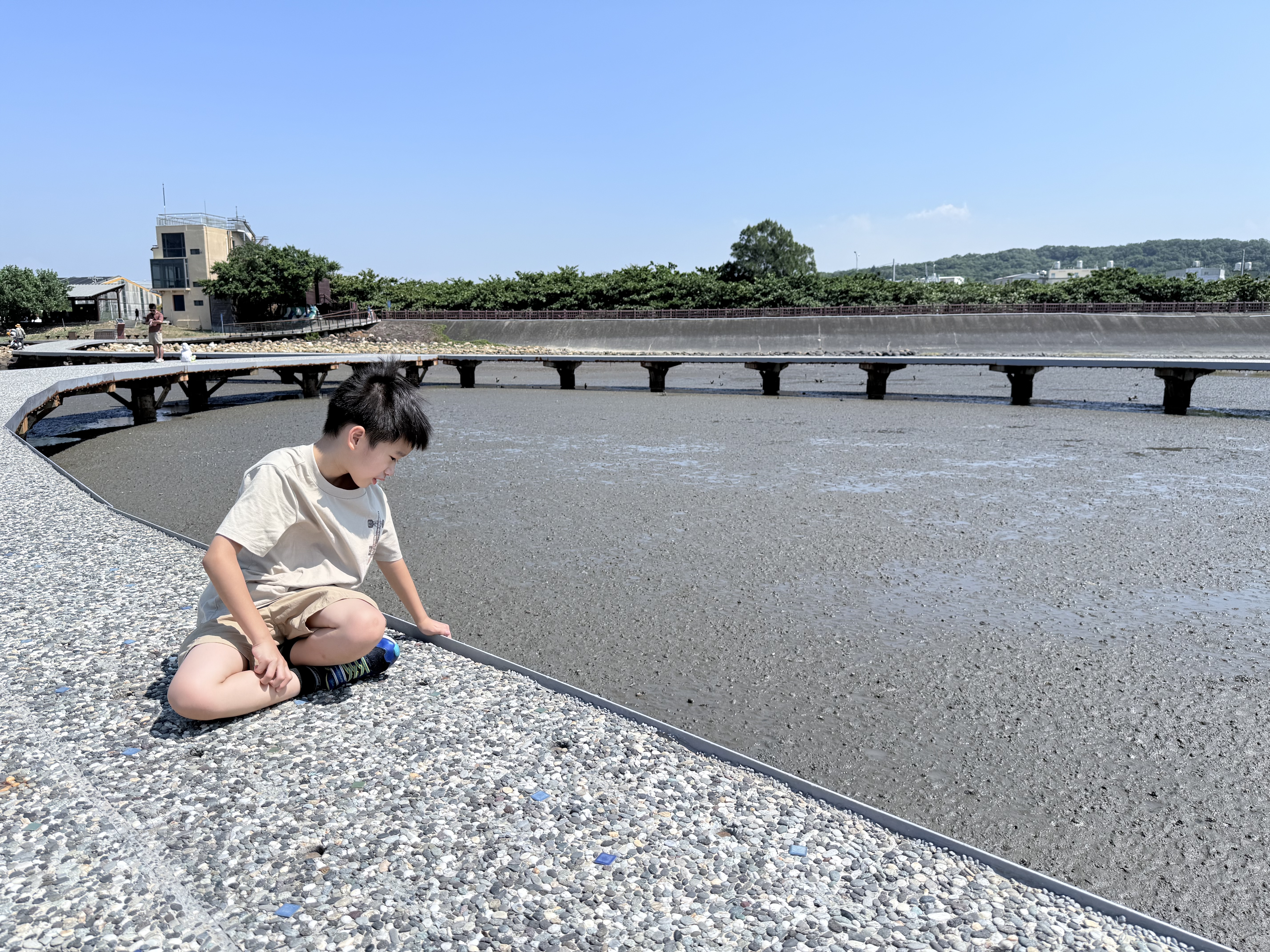 新竹 香山 近距離觀察濕地生態系 彈塗魚、(螃蟹)招潮蟹 |香山濕地賞蟹步道 - 第16張圖