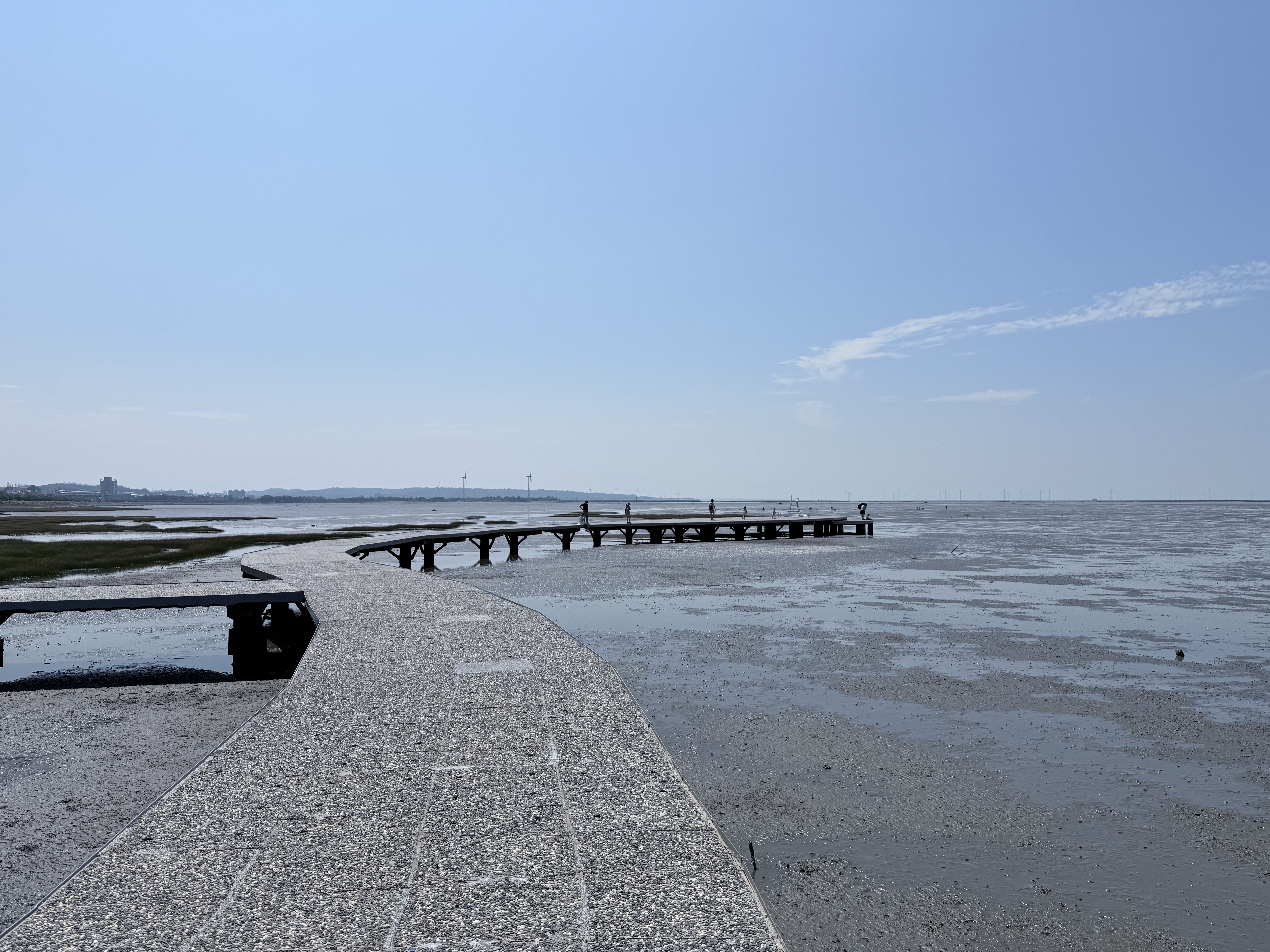 新竹 香山 近距離觀察濕地生態系 彈塗魚、(螃蟹)招潮蟹 |香山濕地賞蟹步道 - 第20張圖