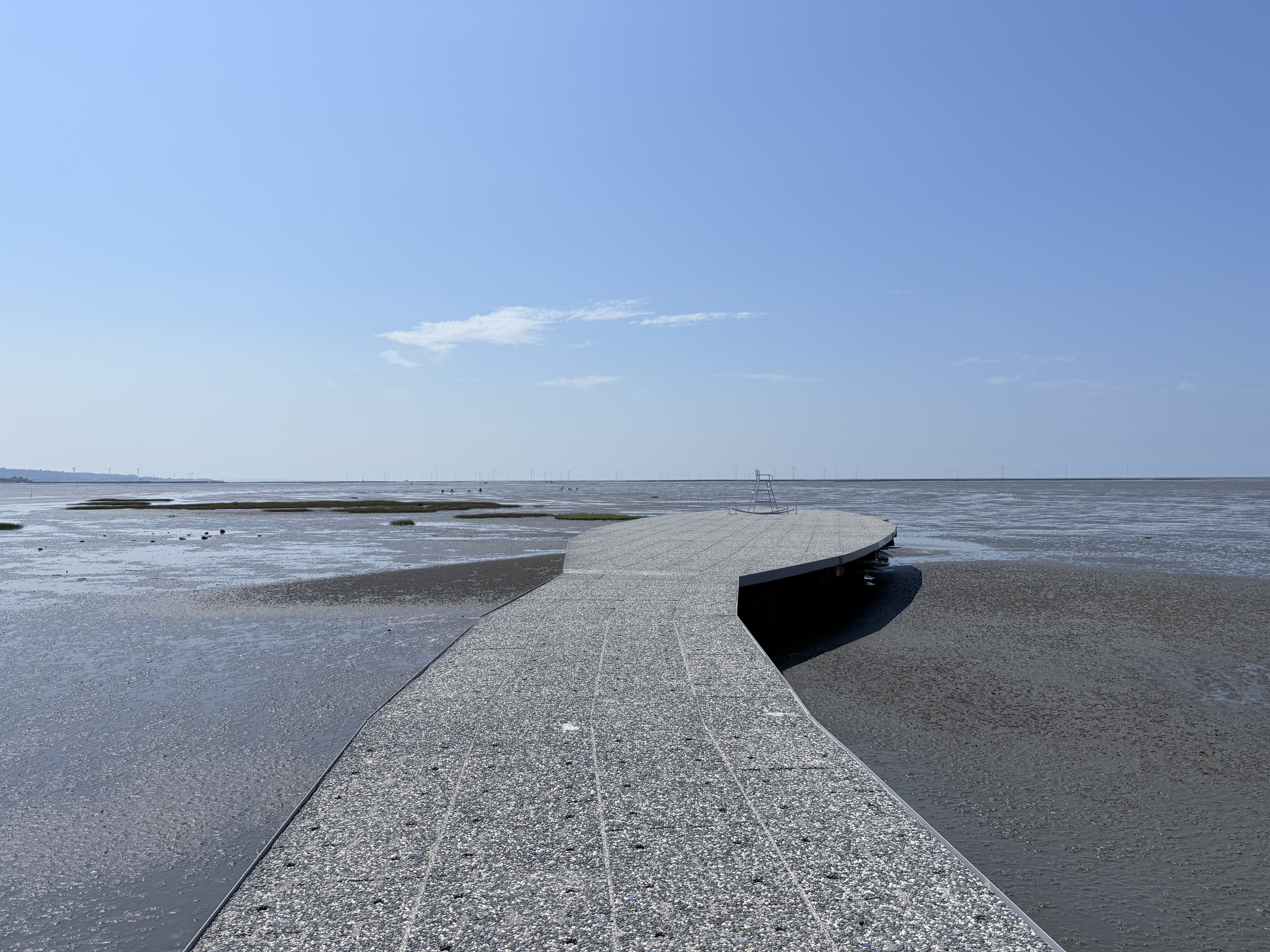 新竹 香山 近距離觀察濕地生態系 彈塗魚、(螃蟹)招潮蟹 |香山濕地賞蟹步道 - 第21張圖