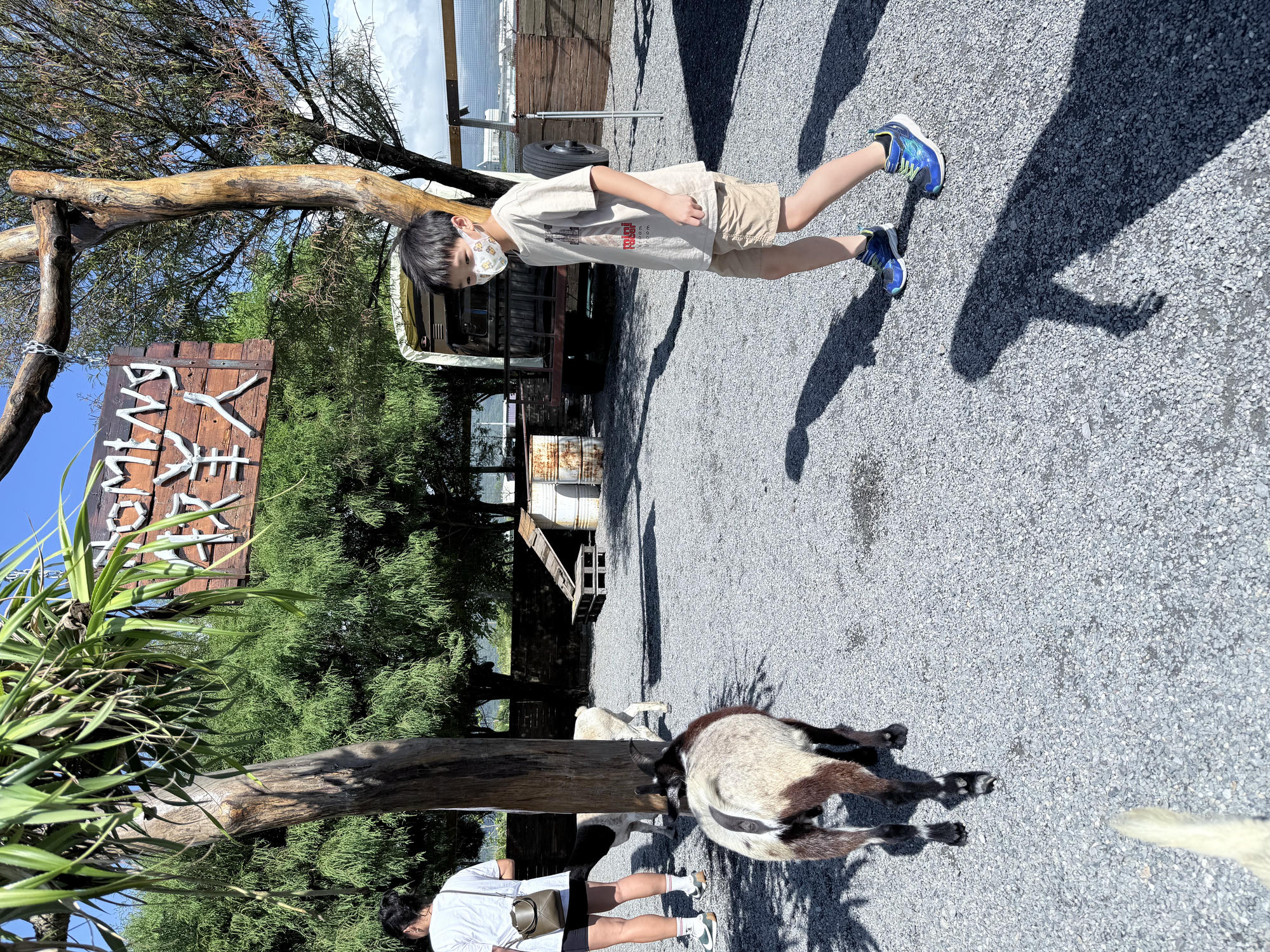 宜蘭 礁溪 荒野風親子農場 多種可愛動物近距離接觸｜回巢農場 2025年再訪遊玩介紹