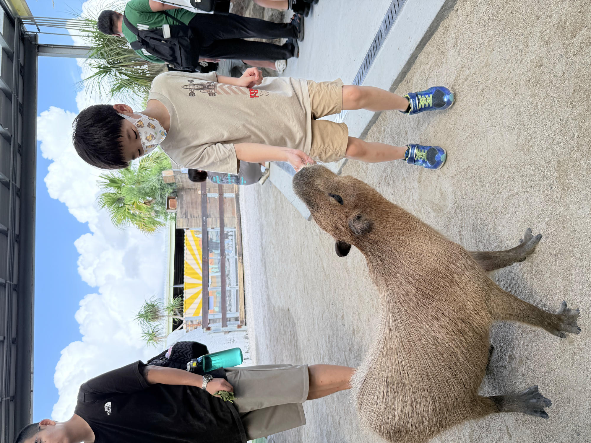 宜蘭 礁溪 荒野風親子農場 多種可愛動物近距離接觸｜回巢農場 2025年再訪遊玩介紹