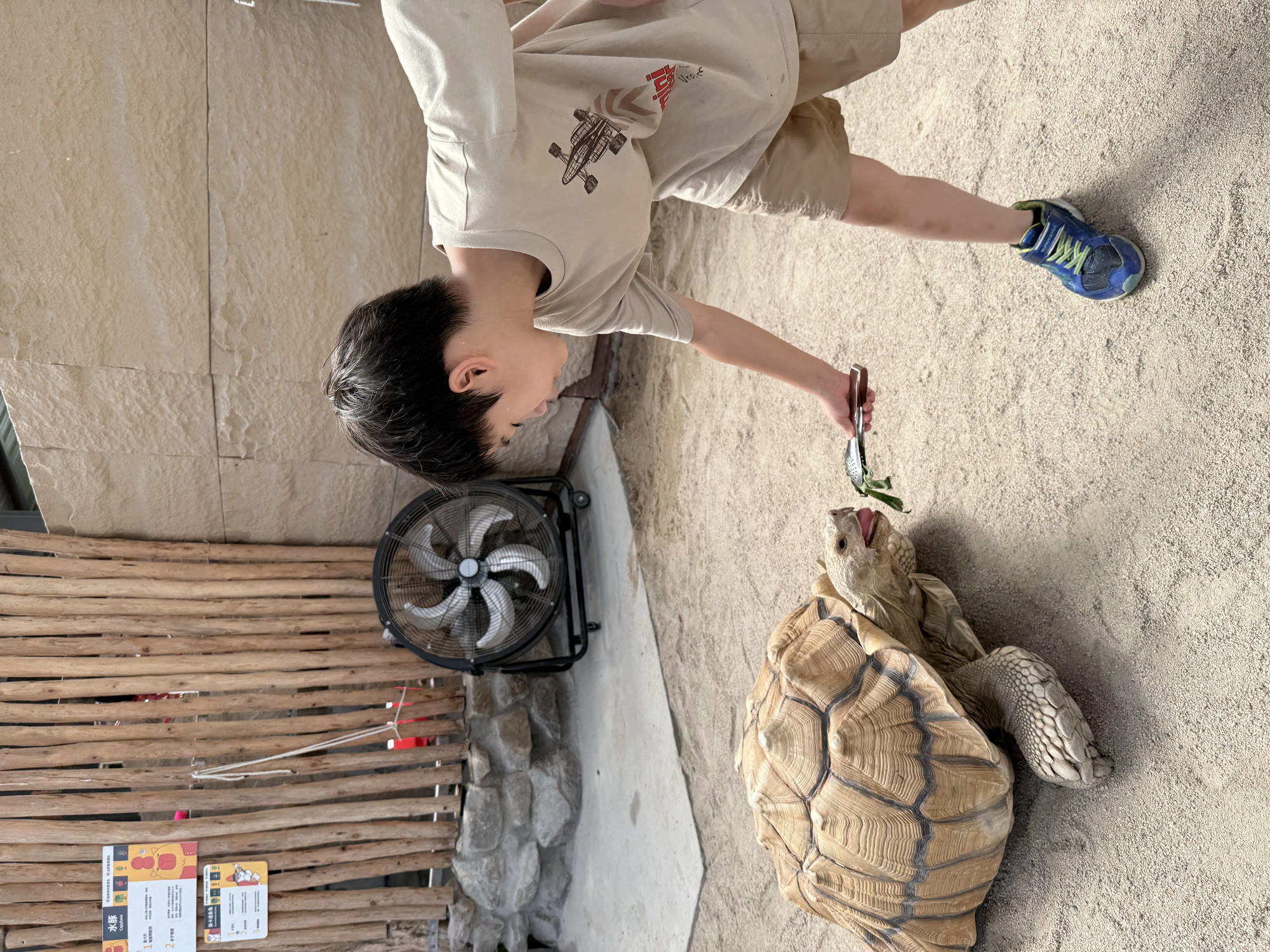 宜蘭 礁溪 荒野風親子農場 多種可愛動物近距離接觸｜回巢農場 2025年再訪遊玩介紹