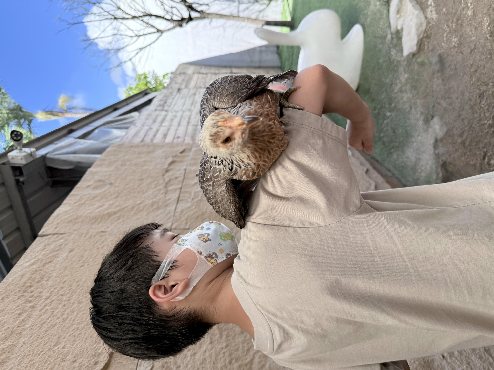 宜蘭 礁溪 荒野風親子農場 多種可愛動物近距離接觸｜回巢農場 2025年再訪遊玩介紹