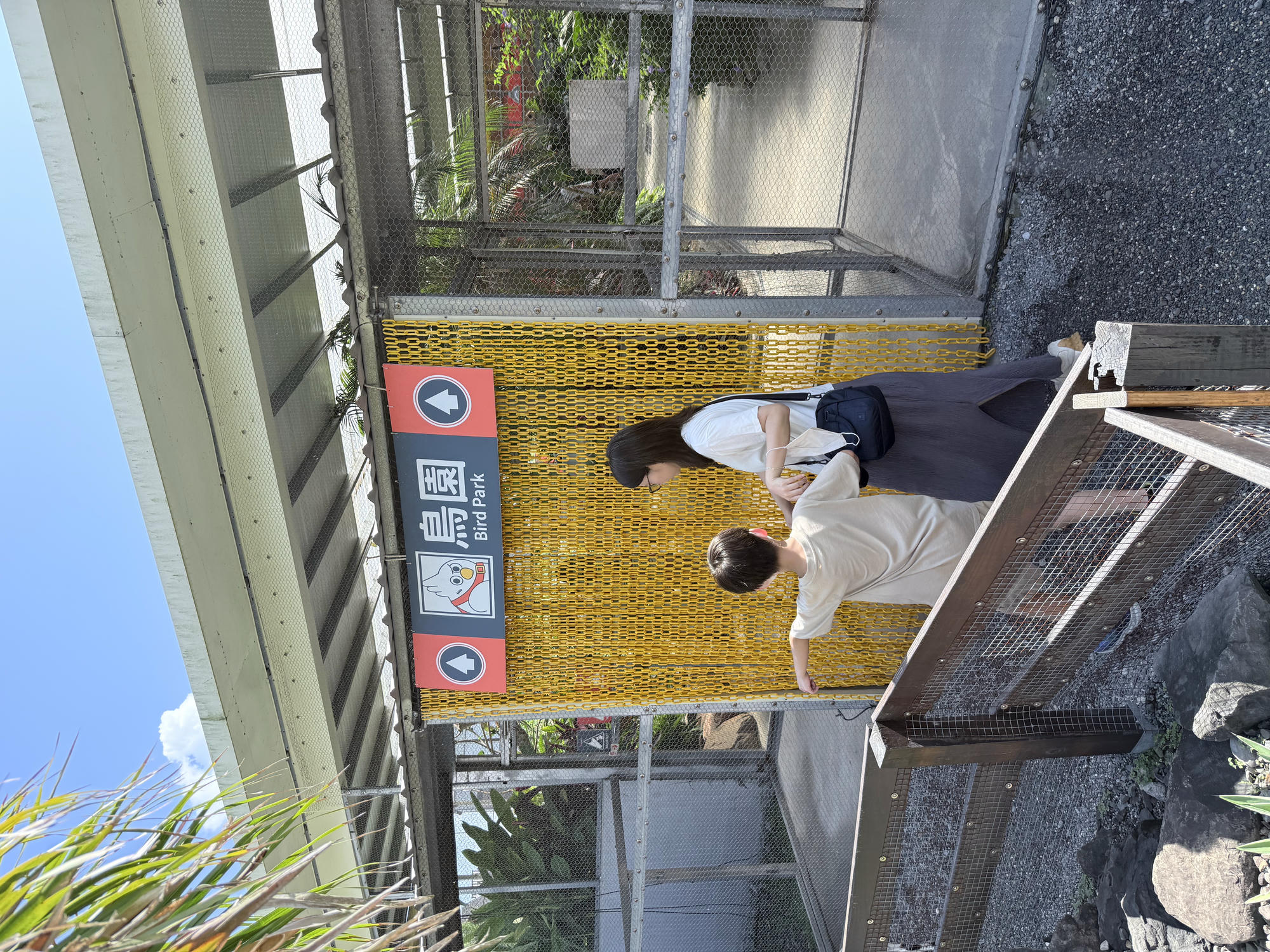 宜蘭 礁溪 荒野風親子農場 多種可愛動物近距離接觸｜回巢農場 2025年再訪遊玩介紹