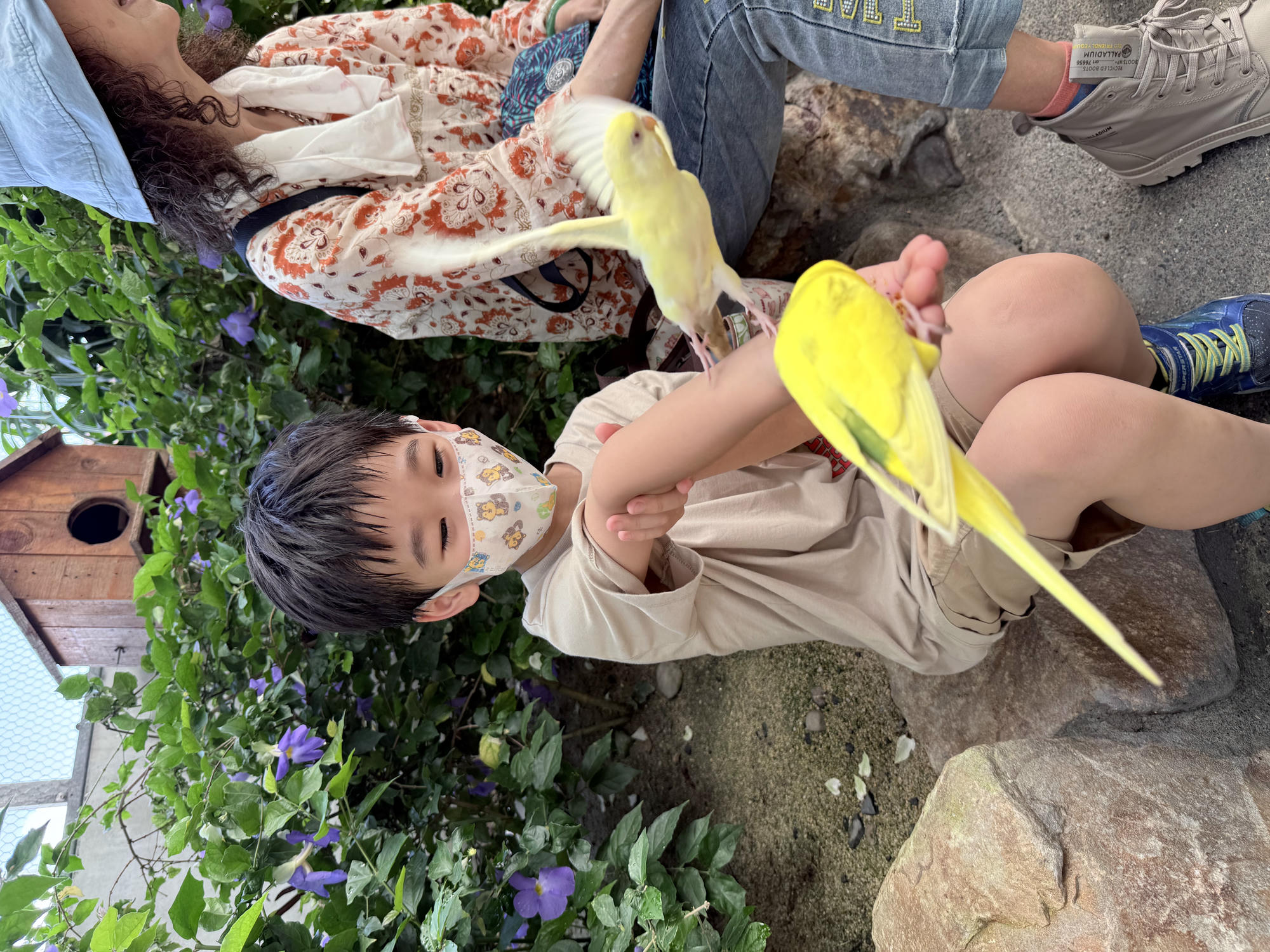 宜蘭 礁溪 荒野風親子農場 多種可愛動物近距離接觸｜回巢農場 2025年再訪遊玩介紹