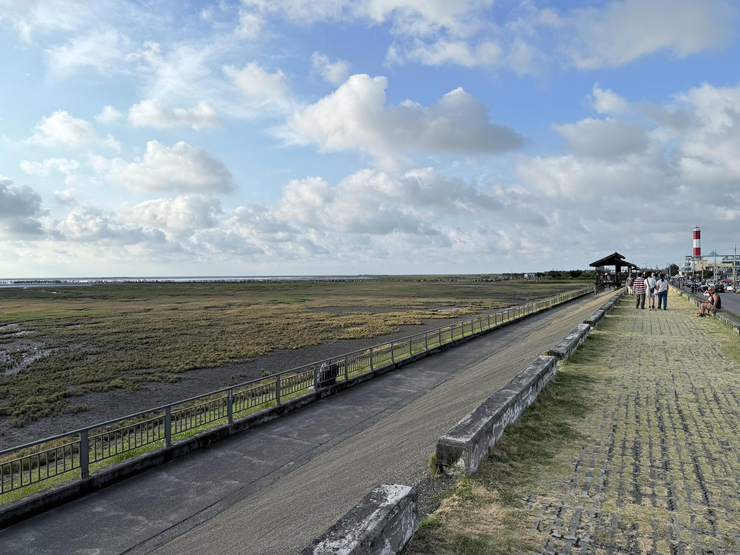 台中 清水 「一生必遊景點」夕陽時分最佳觀賞濕地自然生態及景色 詳盡攻略分享|高美濕地 - 第6張圖 台中 清水 「一生必遊景點」夕陽時分最佳觀賞濕地自然生態及景色 詳盡攻略分享|高美濕地