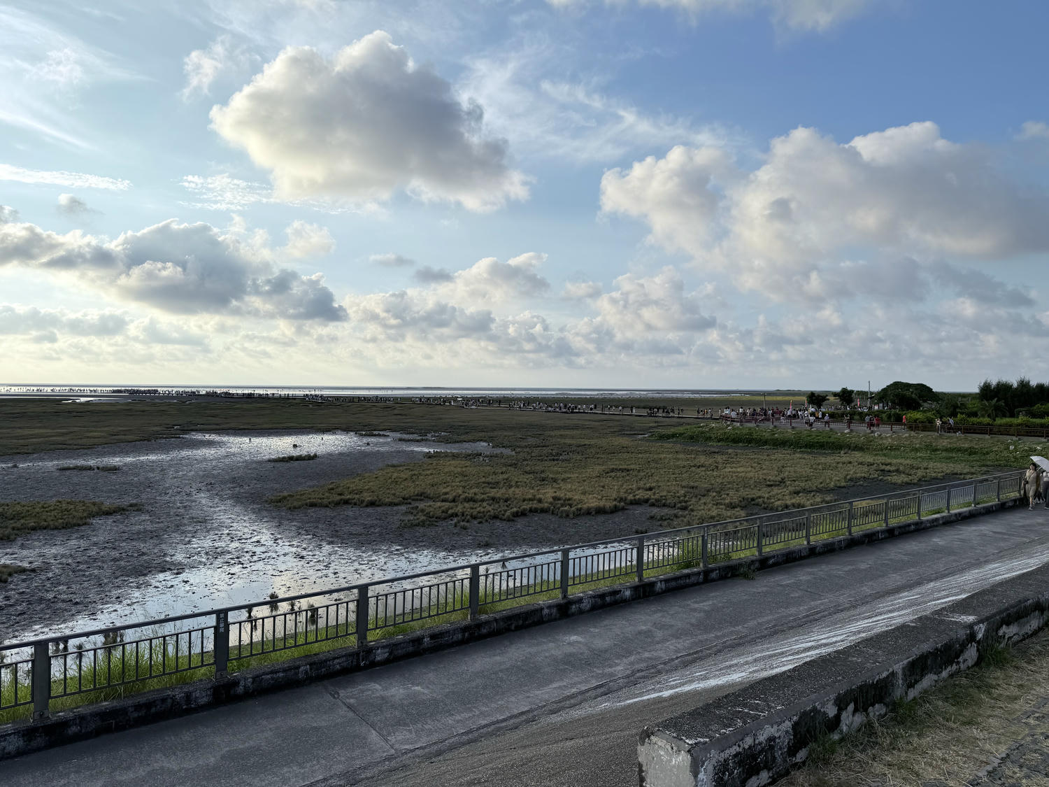 台中 清水 「一生必遊景點」夕陽時分最佳觀賞濕地自然生態及景色 詳盡攻略分享|高美濕地 - 第11張圖 台中 清水 「一生必遊景點」夕陽時分最佳觀賞濕地自然生態及景色 詳盡攻略分享|高美濕地