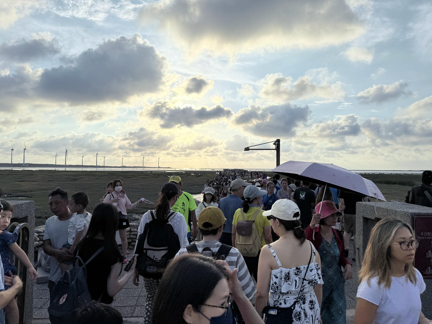 台中 清水 「一生必遊景點」夕陽時分最佳觀賞濕地自然生態及景色 詳盡攻略分享|高美濕地 - 第12張圖 台中 清水 「一生必遊景點」夕陽時分最佳觀賞濕地自然生態及景色 詳盡攻略分享|高美濕地