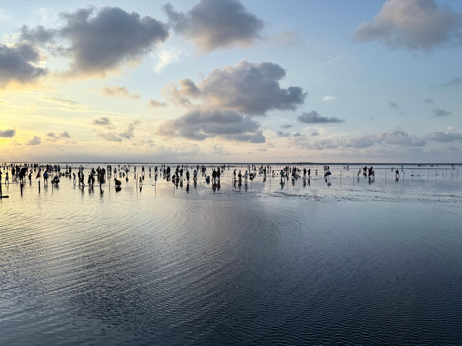 台中 清水 「一生必遊景點」夕陽時分最佳觀賞濕地自然生態及景色 詳盡攻略分享|高美濕地 - 第18張圖 台中 清水 「一生必遊景點」夕陽時分最佳觀賞濕地自然生態及景色 詳盡攻略分享|高美濕地