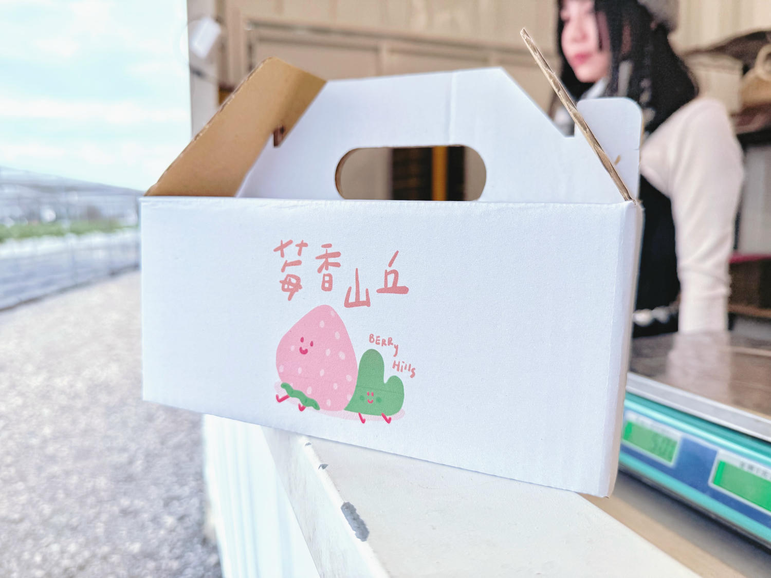 苗栗 銅鑼 文青系白色露營風草莓園 寵物友善|莓香山丘高架草莓園🍓 - 第15張圖 苗栗 銅鑼 文青系白色露營風草莓園 寵物友善|莓香山丘高架草莓園🍓