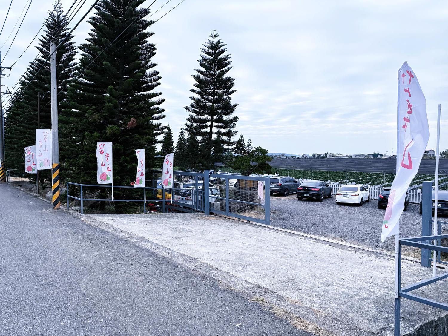 苗栗 銅鑼 文青系白色露營風草莓園 寵物友善|莓香山丘高架草莓園🍓 - 第2張圖 苗栗 銅鑼 文青系白色露營風草莓園 寵物友善|莓香山丘高架草莓園🍓