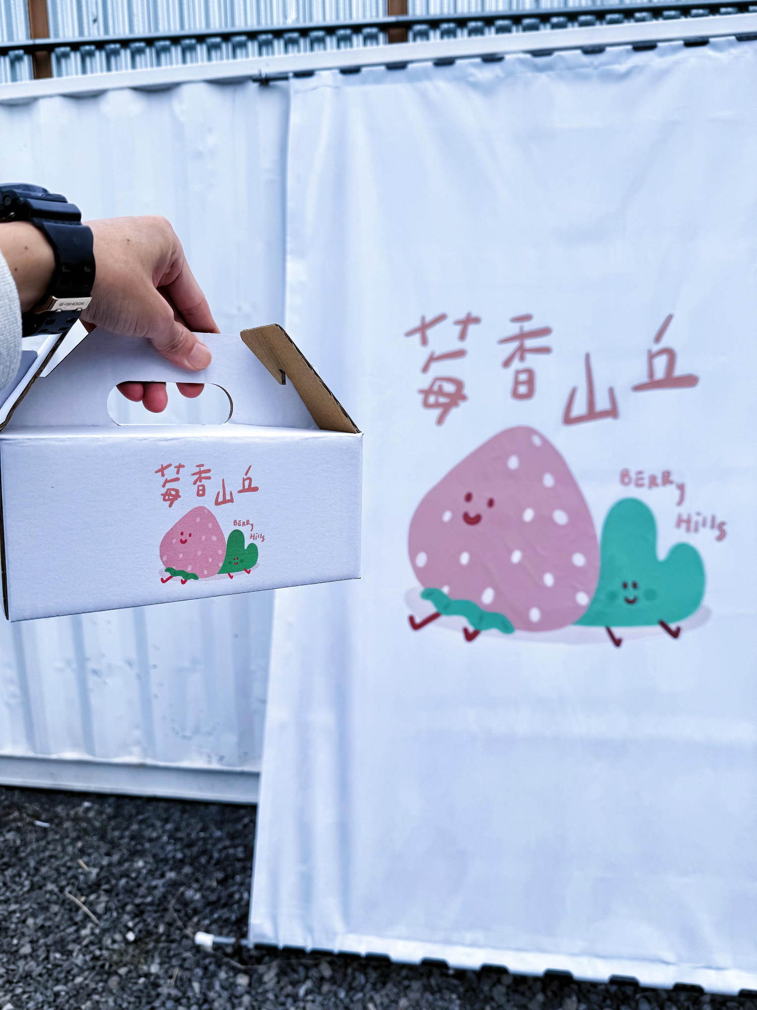 苗栗 銅鑼 文青系白色露營風草莓園 寵物友善|莓香山丘高架草莓園🍓 - 第17張圖 苗栗 銅鑼 文青系白色露營風草莓園 寵物友善|莓香山丘高架草莓園🍓