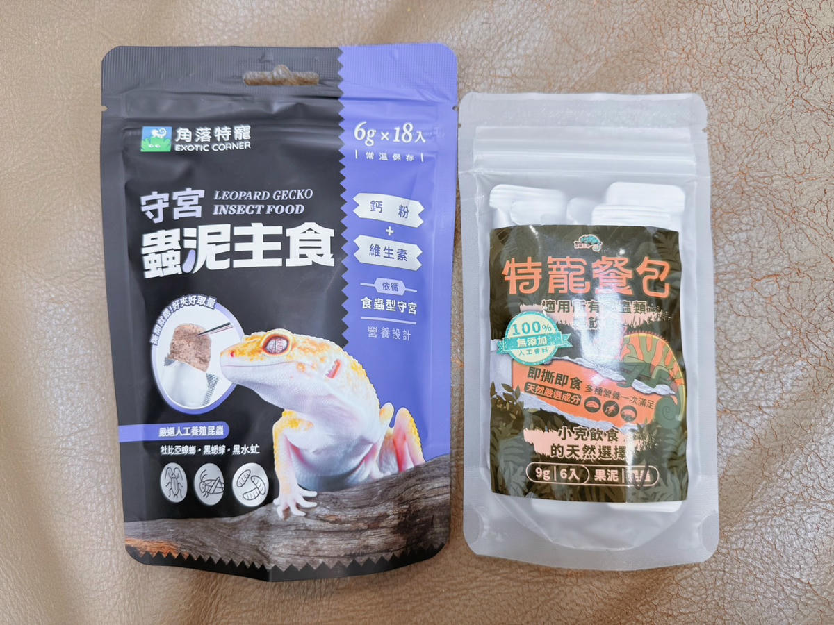 豹紋守宮飼養心得分享1—「豹紋守宮入手前必讀:你準備好迎接這抹微笑了嗎?」 - 第3張圖 豹紋守宮飼養心得分享1—「豹紋守宮入手前必讀:你準備好迎接這抹微笑了嗎?」