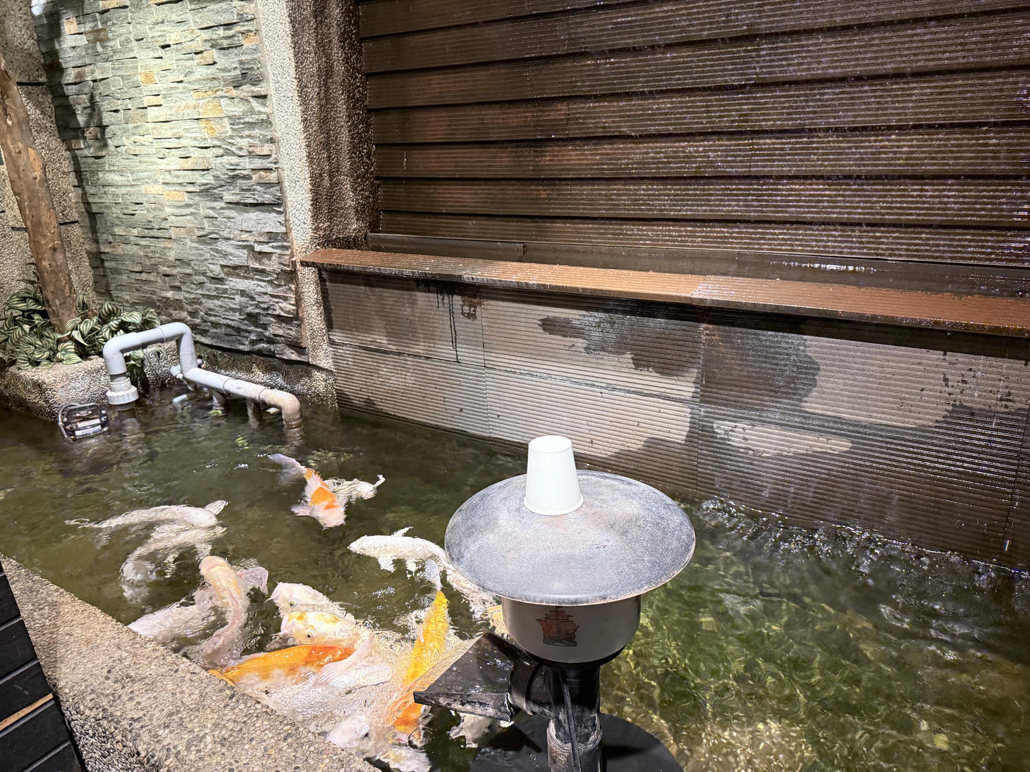 新北 新店 新式質感簡餐店、飲料店 適合三五好友聚會 還可以餵魚 |集客人間茶館 大坪林店 - 第8張圖 新北 新店 新式質感簡餐店、飲料店 適合三五好友聚會 還可以餵魚 |集客人間茶館 大坪林店