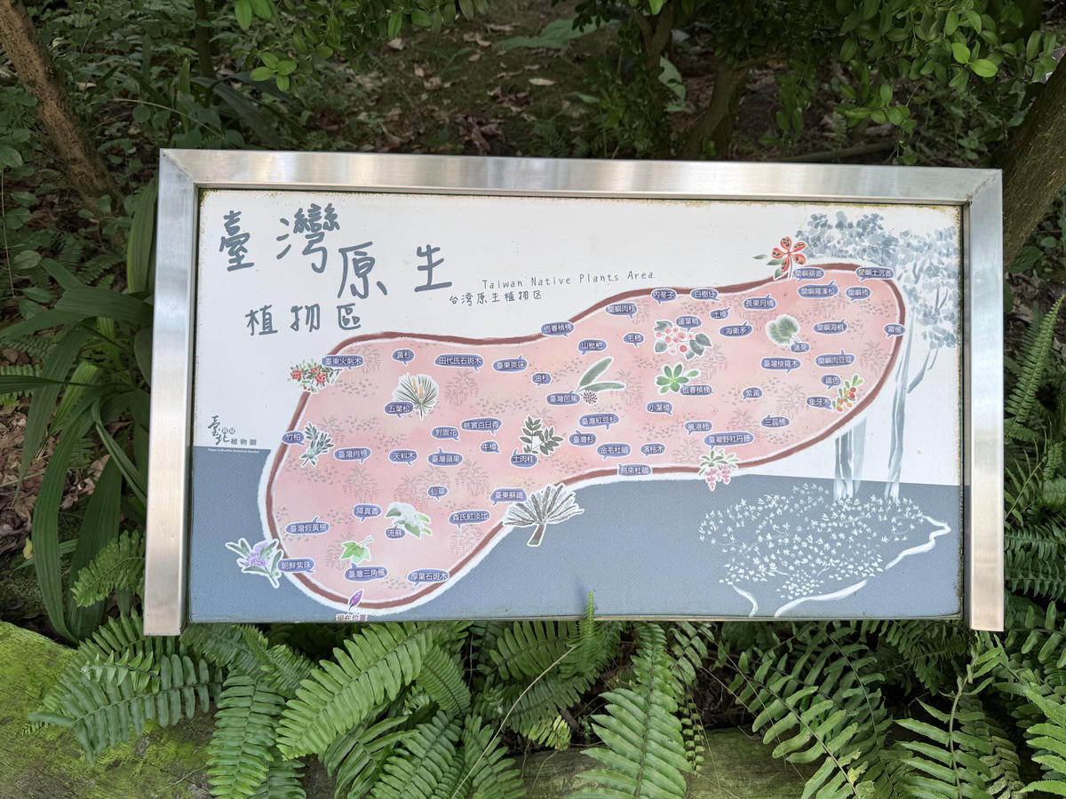 台北 中山 花博公園新生園區 免門票親子景點 種類豐富的植物 吹冷氣觀賞自然生態教育中心 | 臺北典藏植物園 - 第10張圖 台北 中山 花博公園新生園區 免門票親子景點 種類豐富的植物 吹冷氣觀賞自然生態教育中心 | 臺北典藏植物園