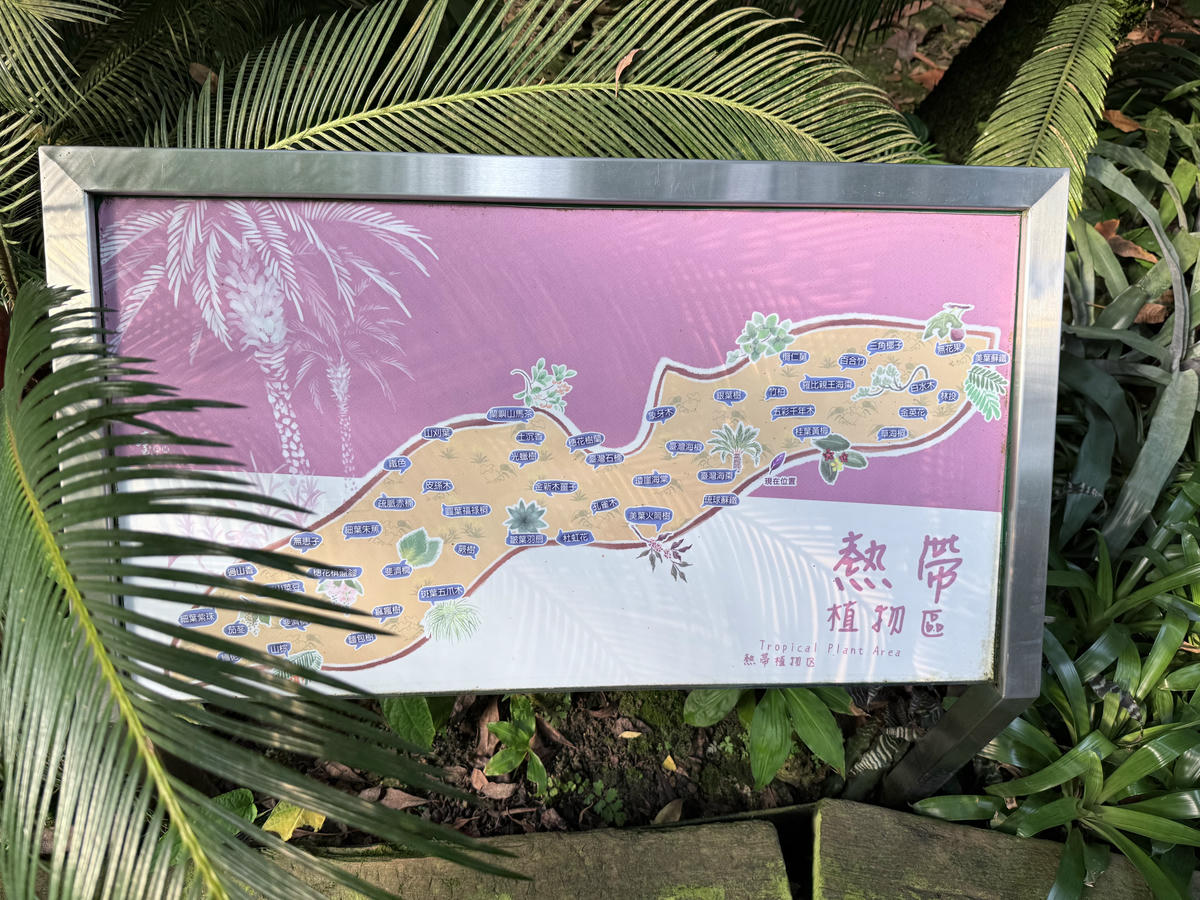 台北 中山 花博公園新生園區 免門票親子景點 種類豐富的植物 吹冷氣觀賞自然生態教育中心 | 臺北典藏植物園 - 第13張圖 台北 中山 花博公園新生園區 免門票親子景點 種類豐富的植物 吹冷氣觀賞自然生態教育中心 | 臺北典藏植物園