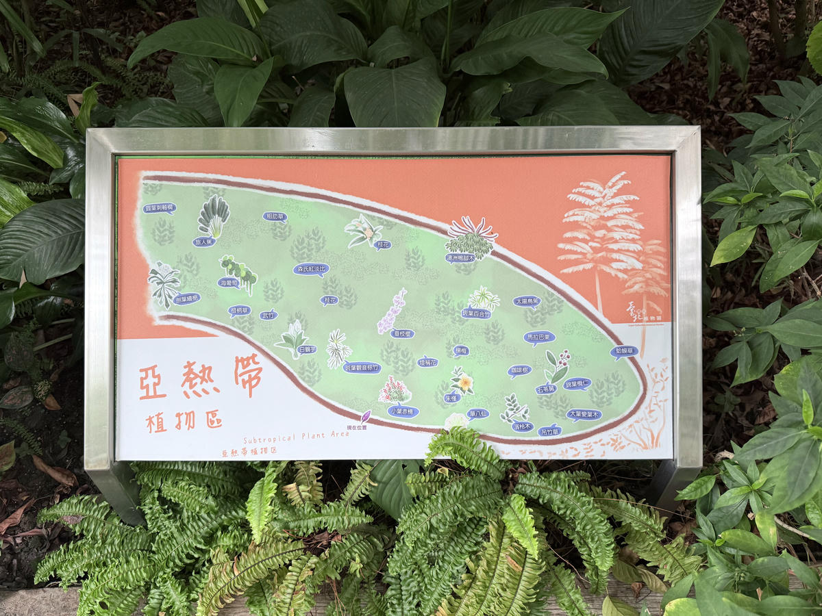 台北 中山 花博公園新生園區 免門票親子景點 種類豐富的植物 吹冷氣觀賞自然生態教育中心 | 臺北典藏植物園 - 第17張圖 台北 中山 花博公園新生園區 免門票親子景點 種類豐富的植物 吹冷氣觀賞自然生態教育中心 | 臺北典藏植物園
