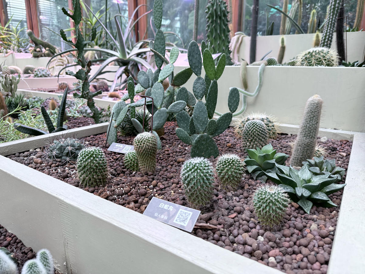 台北 中山 花博公園新生園區 免門票親子景點 種類豐富的植物 吹冷氣觀賞自然生態教育中心 | 臺北典藏植物園 - 第22張圖 台北 中山 花博公園新生園區 免門票親子景點 種類豐富的植物 吹冷氣觀賞自然生態教育中心 | 臺北典藏植物園