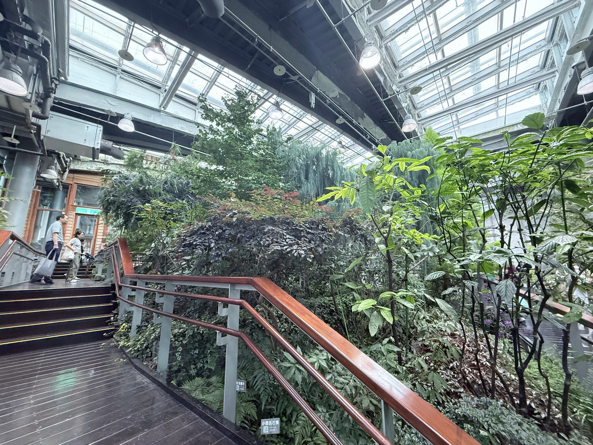 台北 中山 花博公園新生園區 免門票親子景點 種類豐富的植物 吹冷氣觀賞自然生態教育中心 | 臺北典藏植物園 - 第24張圖 台北 中山 花博公園新生園區 免門票親子景點 種類豐富的植物 吹冷氣觀賞自然生態教育中心 | 臺北典藏植物園