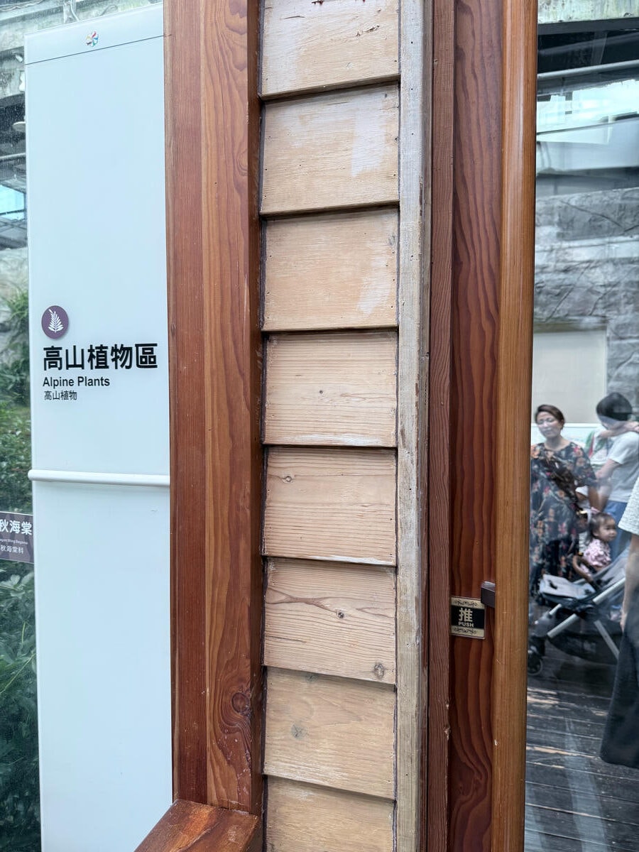 台北 中山 花博公園新生園區 免門票親子景點 種類豐富的植物 吹冷氣觀賞自然生態教育中心 | 臺北典藏植物園 - 第26張圖 台北 中山 花博公園新生園區 免門票親子景點 種類豐富的植物 吹冷氣觀賞自然生態教育中心 | 臺北典藏植物園