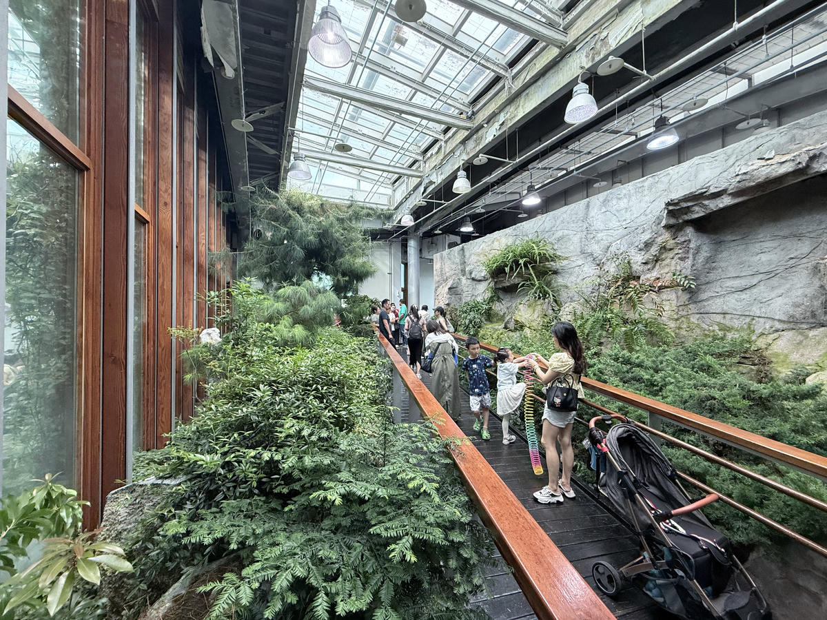 台北 中山 花博公園新生園區 免門票親子景點 種類豐富的植物 吹冷氣觀賞自然生態教育中心 | 臺北典藏植物園 - 第27張圖 台北 中山 花博公園新生園區 免門票親子景點 種類豐富的植物 吹冷氣觀賞自然生態教育中心 | 臺北典藏植物園