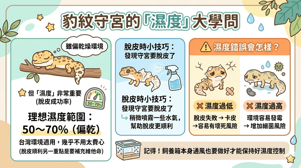 豹紋守宮飼養心得分享3 環境布置怎麼做?冷區 / 熱區與濕度控制完整分享(新手必看) - 第3張圖 豹紋守宮飼養心得分享3 環境布置怎麼做?冷區 / 熱區與濕度控制完整分享(新手必看)