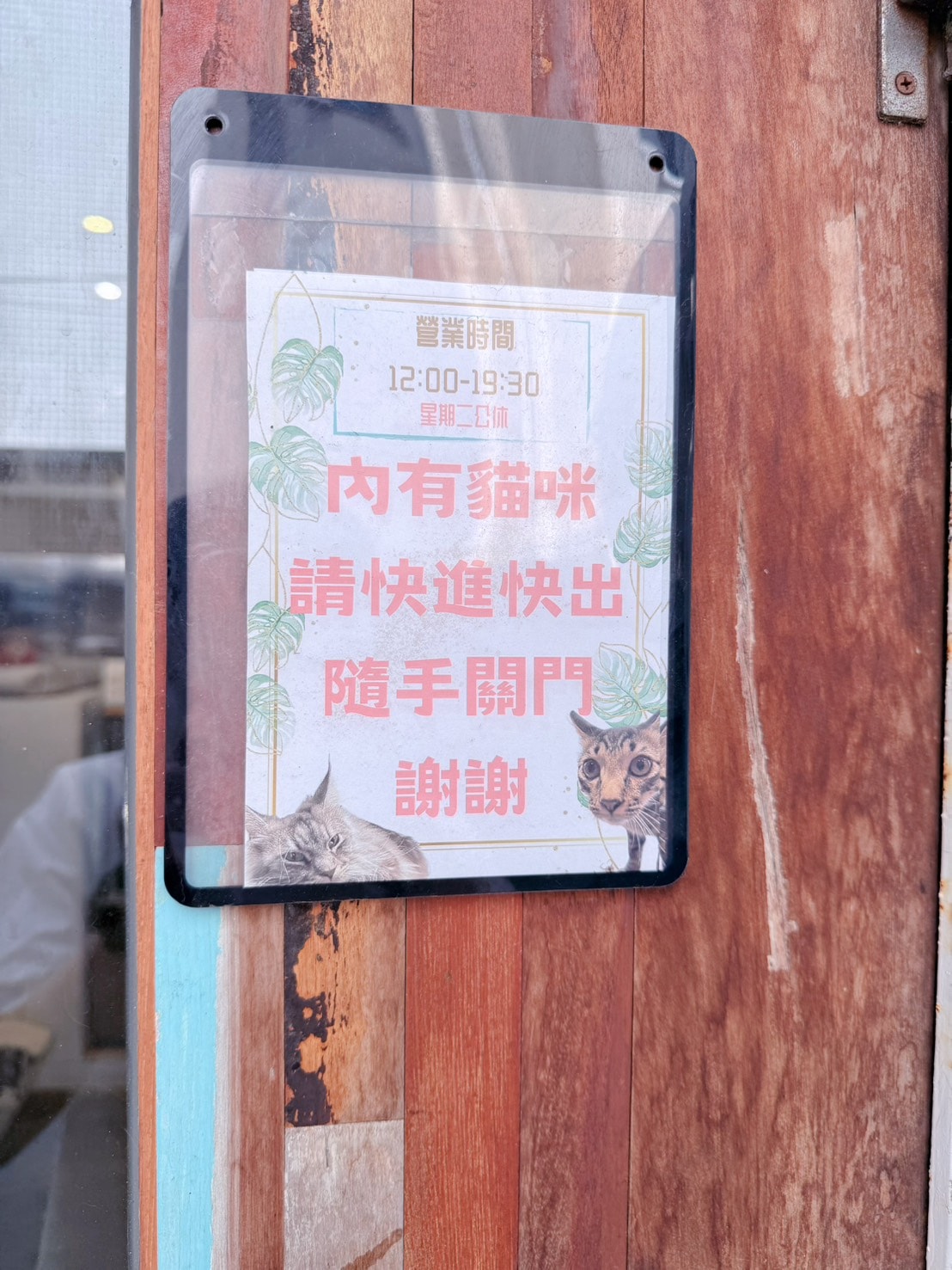 新竹 北區 新竹市政府小巷內 有可愛水豚與貓咪陪伴的文青質感咖啡店 ｜招財咖啡 (需網路訂位)