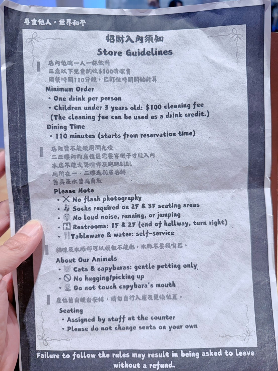 新竹 北區 新竹市政府小巷內 有可愛水豚與貓咪陪伴的文青質感咖啡店 ｜招財咖啡 (需網路訂位)